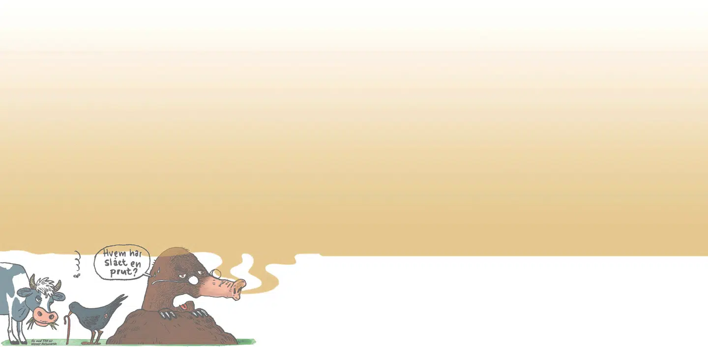 Der er ikke en eneste af Jordens næsten 10.000 fuglearter, der prutter. Til gengæld sender en enkelt ko mellem 100 og 200 kilo metan ud i atmosfæren om året. TEGNING: GITTE SKOV