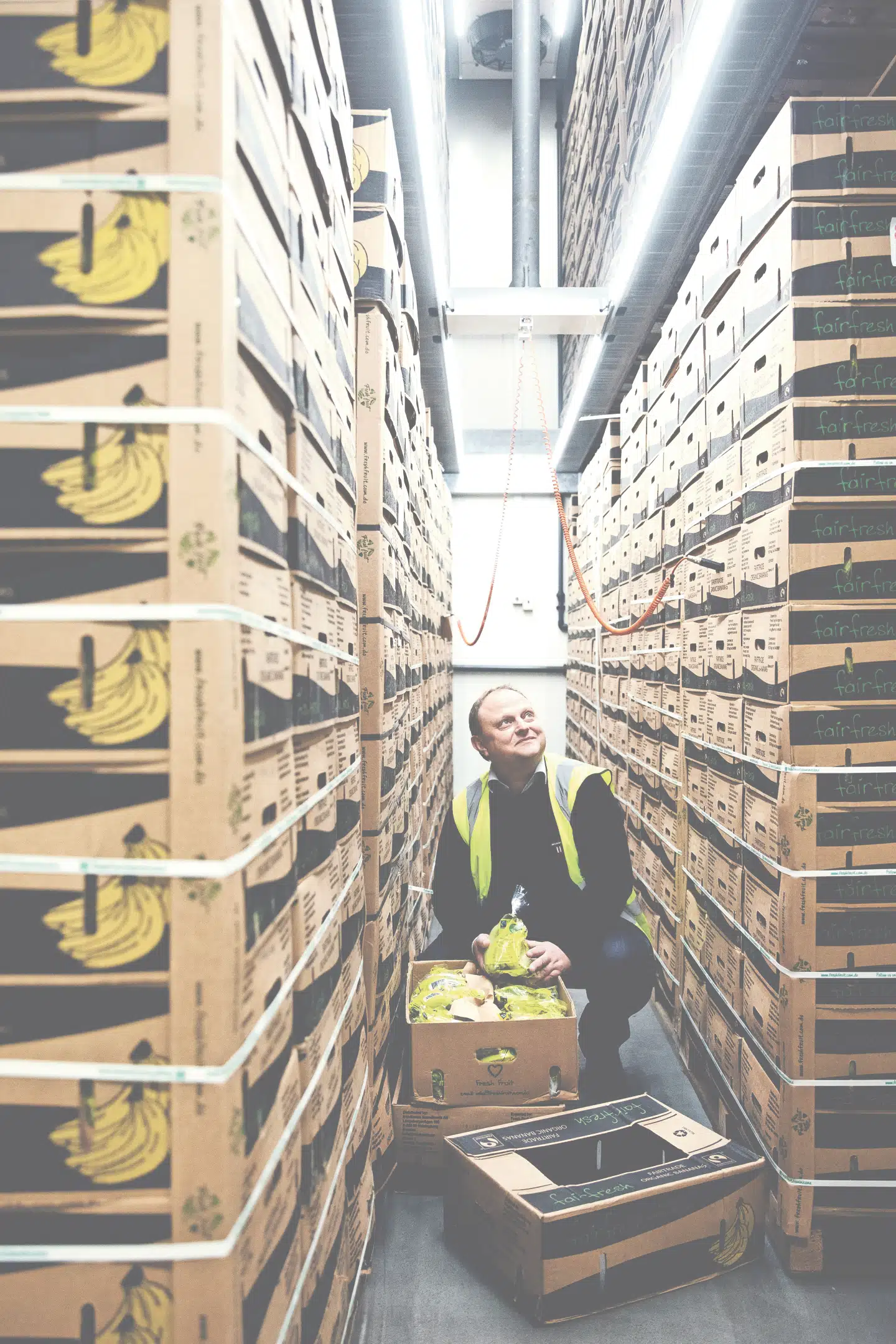 Torben Olsen har arbejdet med bananer i 27 år. Her i det store modningsrum bliver bananerne opbevaret ved lav temperatur, indtil de er klar til at blive sendt til butikkerne. Så sætter Banan-Torben gang i et særligt modningsprogram. FOTO: NIELS CHRISTENSEN