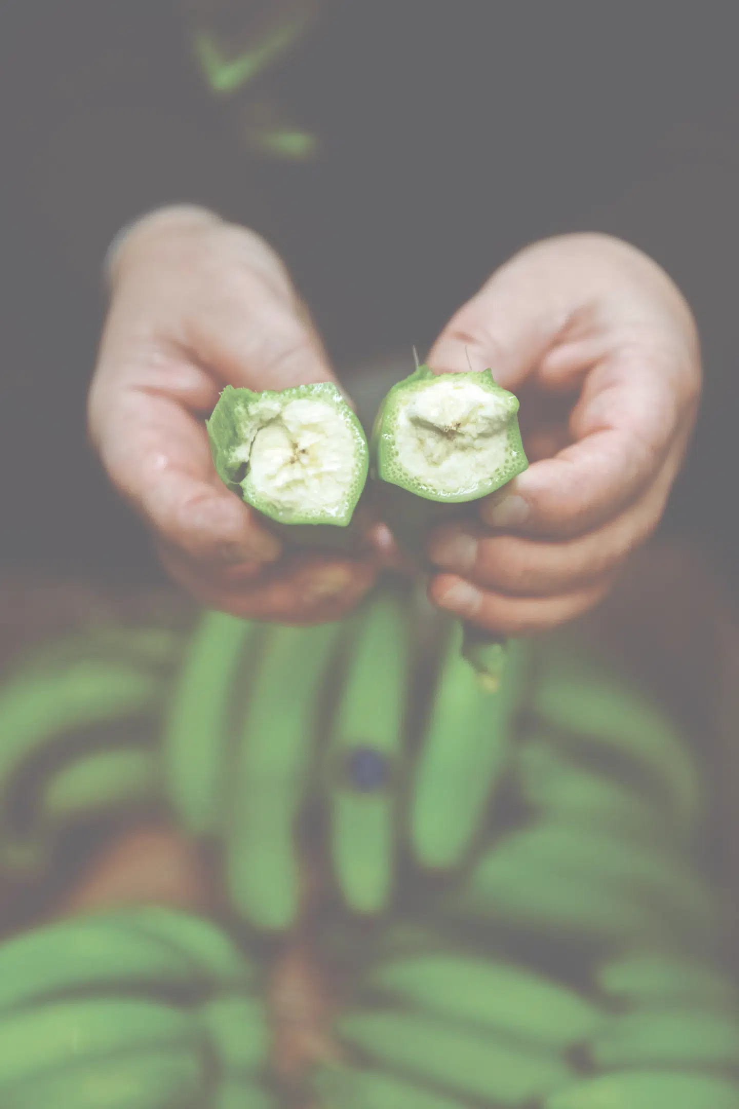Umoden banan. FOTO: NIELS CHRISTENSEN