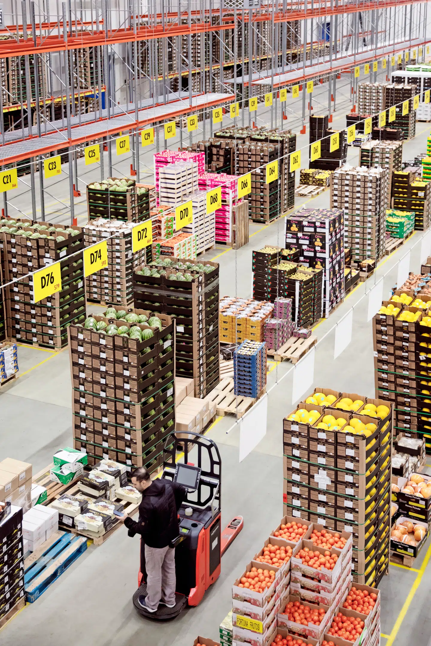 I hallen i Køge kommer tonsvis af frugt og grønt forbi, inden det skal ud i butikkerne. FOTO: NIELS CHRISTENSEN
