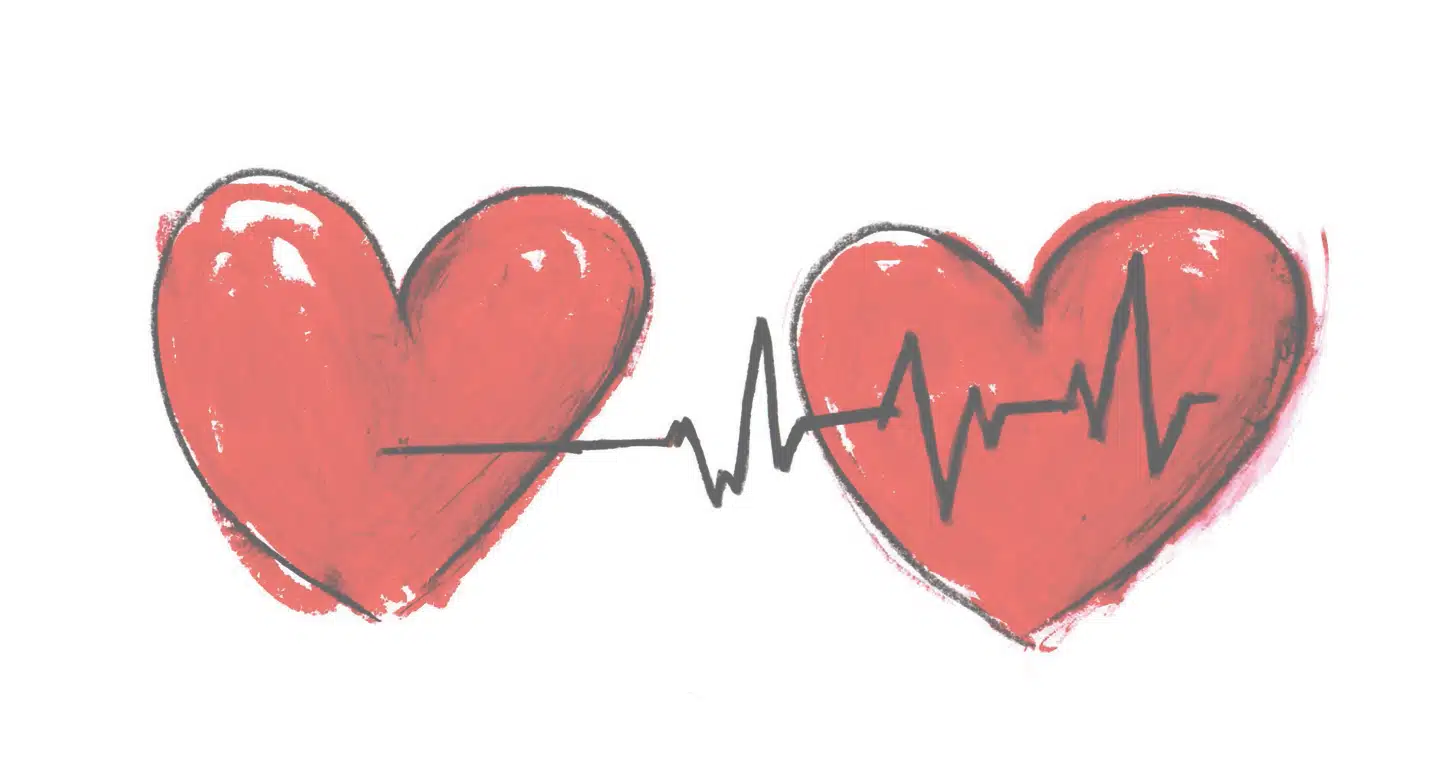 Illustration: Charlotte Pardi