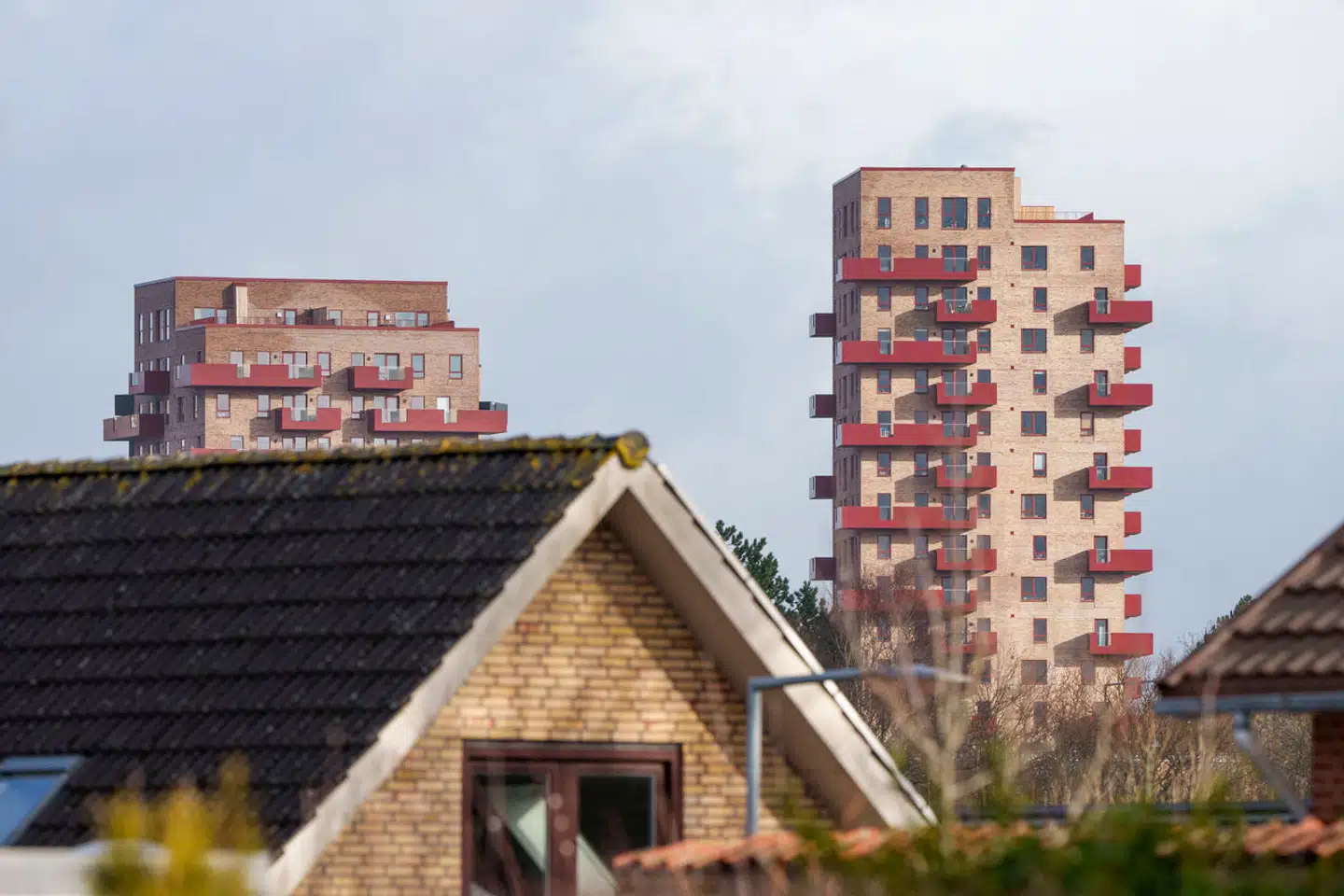 Arkivfoto: Bo Amstrup, Scanpix.