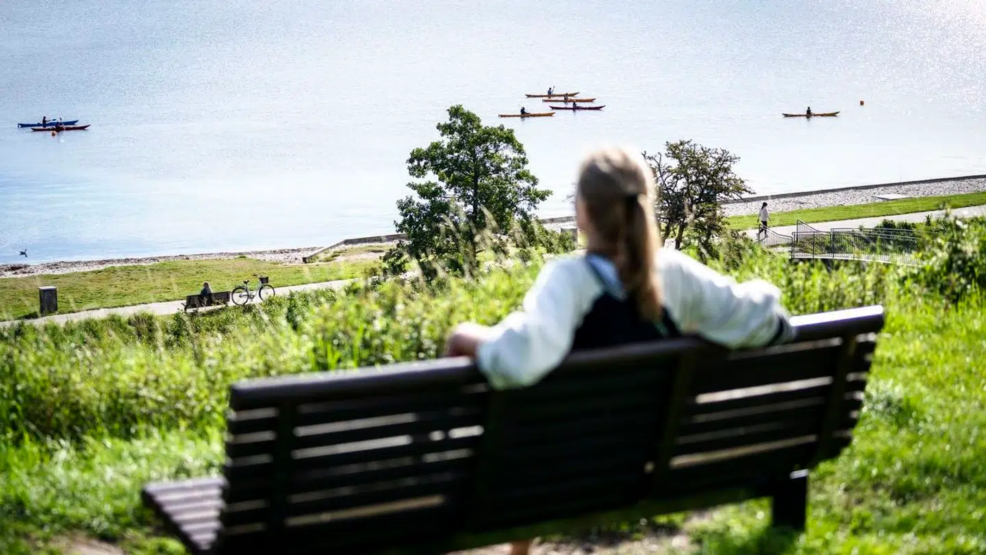 September i år har været dejligt varm. Billedet her er taget torsdag 15. september ved Charlottenlund Fort, som besøges af både campister, motionister og hundeluftere.