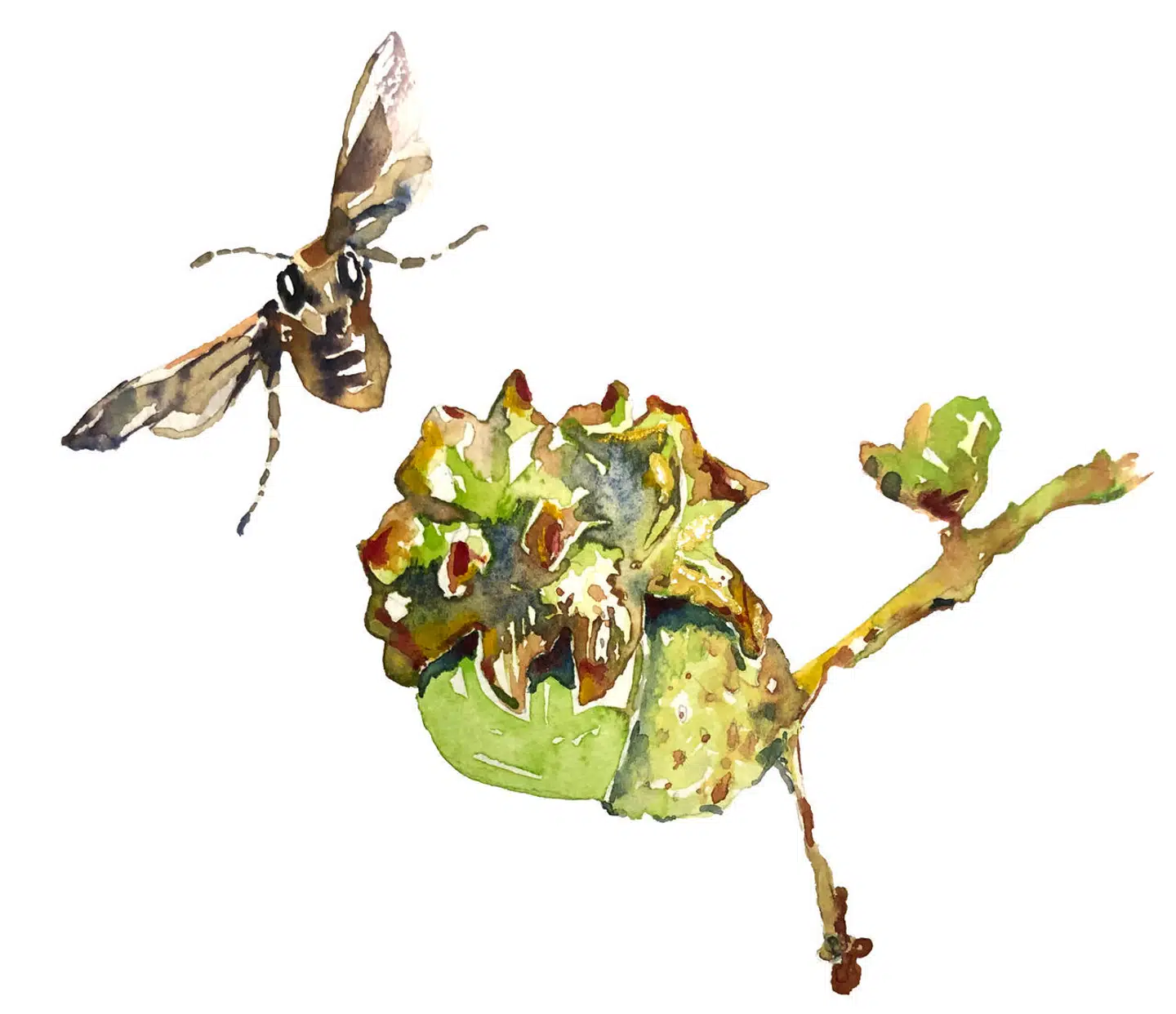 Illustration: Peter Wandel