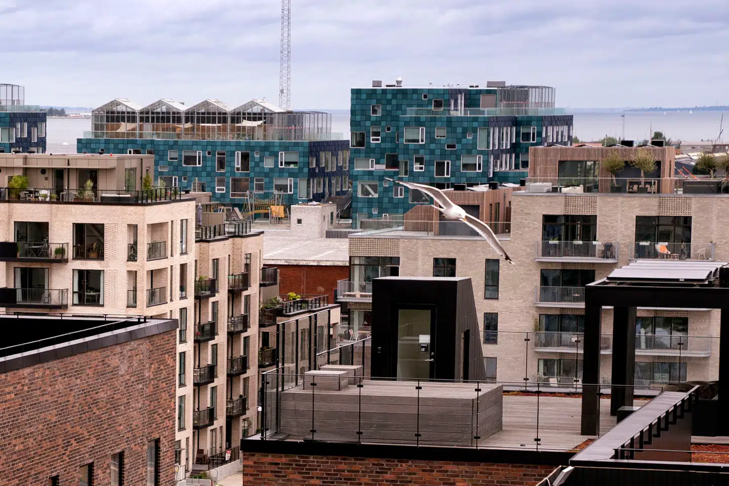 Der er i øjeblikket massiv jagt på boliger i København sammenlignet med andre steder i landet ifølge tal fra Boligsiden.