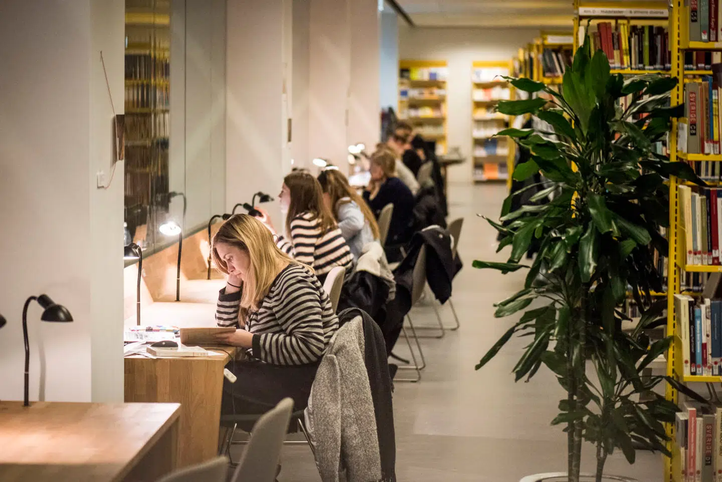 »En af udfordringerne med SUen er, at den giver et incitament til at tage alle slags uddannelser – både dem, der giver et højt og et lavt afkast. Og SUen giver samme belønning til den person, der ikke gør sig umage på studiet, men blot nyder studielivet og festerne,« skriver Jørgen Sloth.