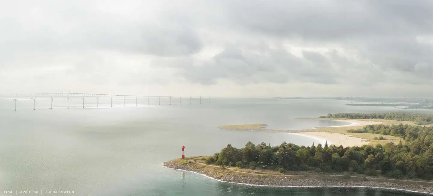 På den nordøstlige spids vil tang ophobe sig, fordi bølgerne vil skubbe det ind i bugten. Designet af kysten gør dog, at det ikke er muligt for tangen at komme væk igen. Derfor møder designet af kysten nu kritik.