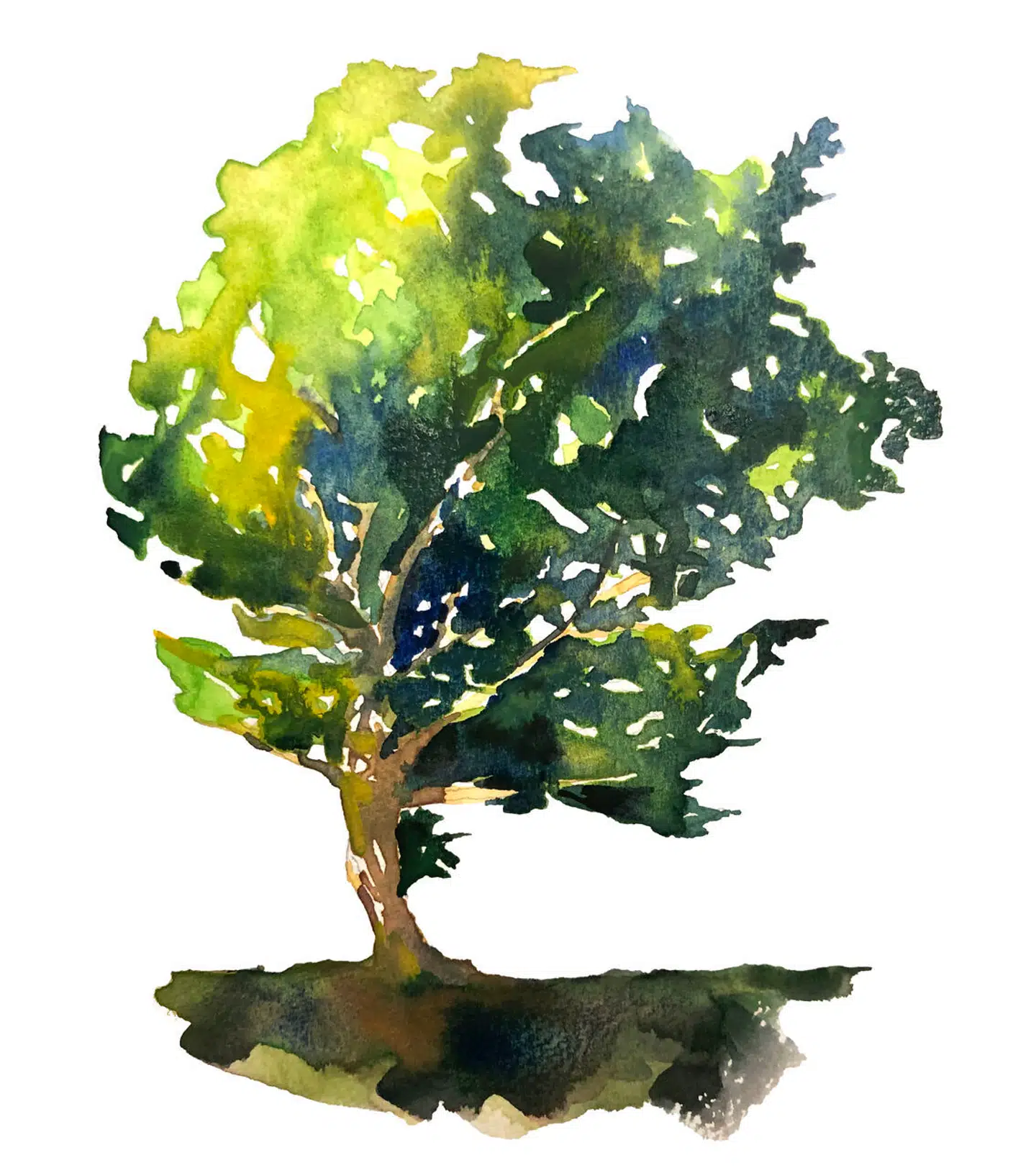 Illustration: Peter Wandel