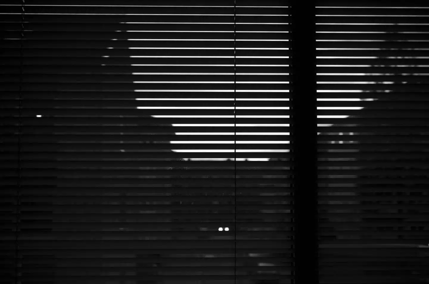 Kommunale embedspersoner beretter om et politisk pres for at ændre eller udelade faglige beretninger i oplæg til deres overordnede - og en stor del retter ind efter dette pres, viser ny undersøgelse.