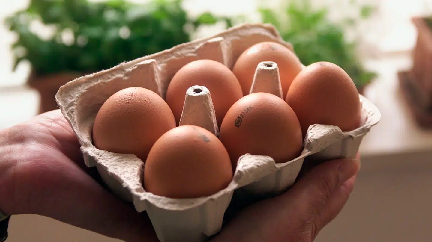 Det er æggebakker, der er omdrejningspunkt i balladen.