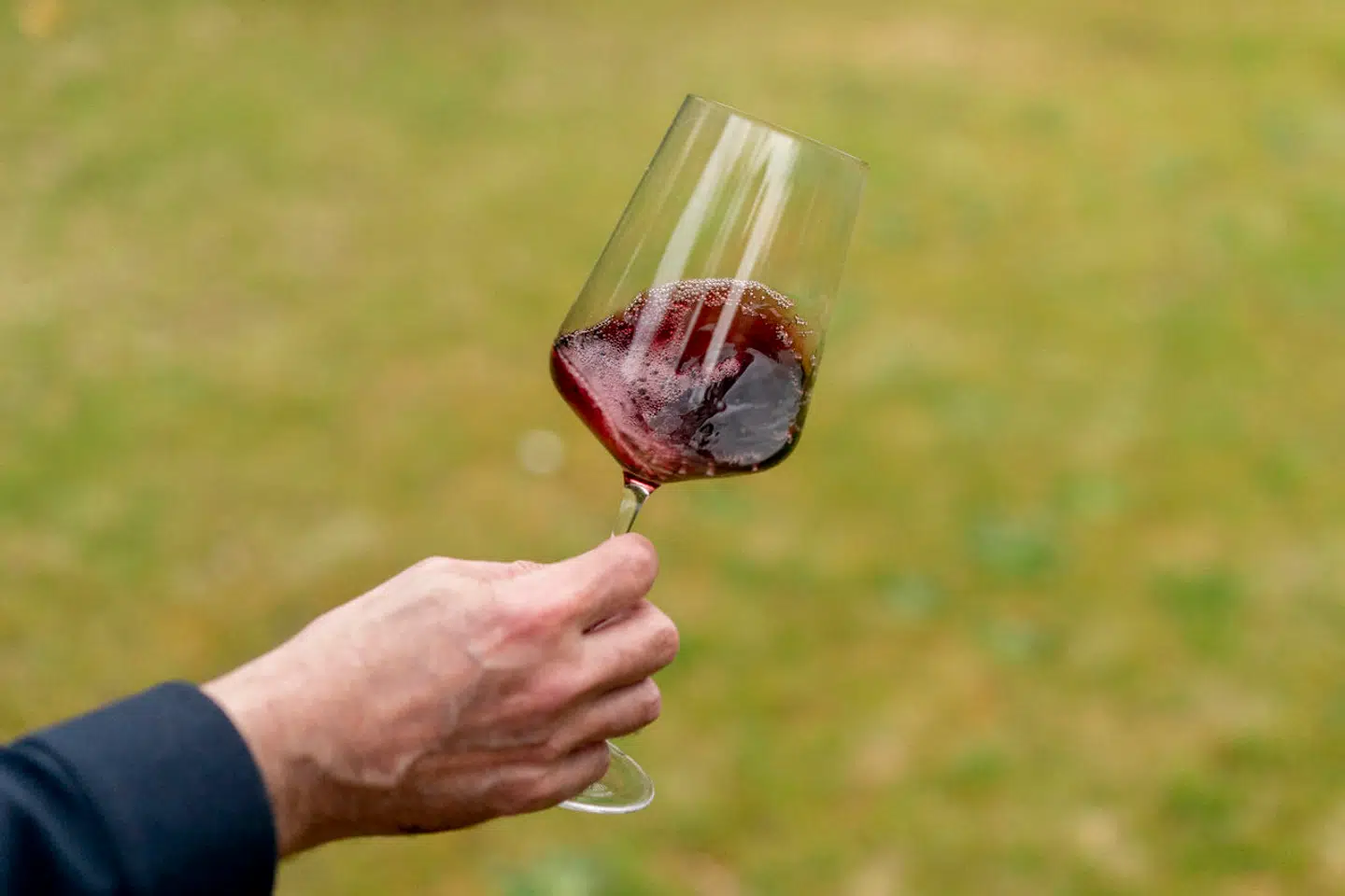 Et nyt studie, som er udviklet af et internationalt hold af forskere, beskriver moderate mængder alkohol som et af flere elementer i forebyggelse af depression.