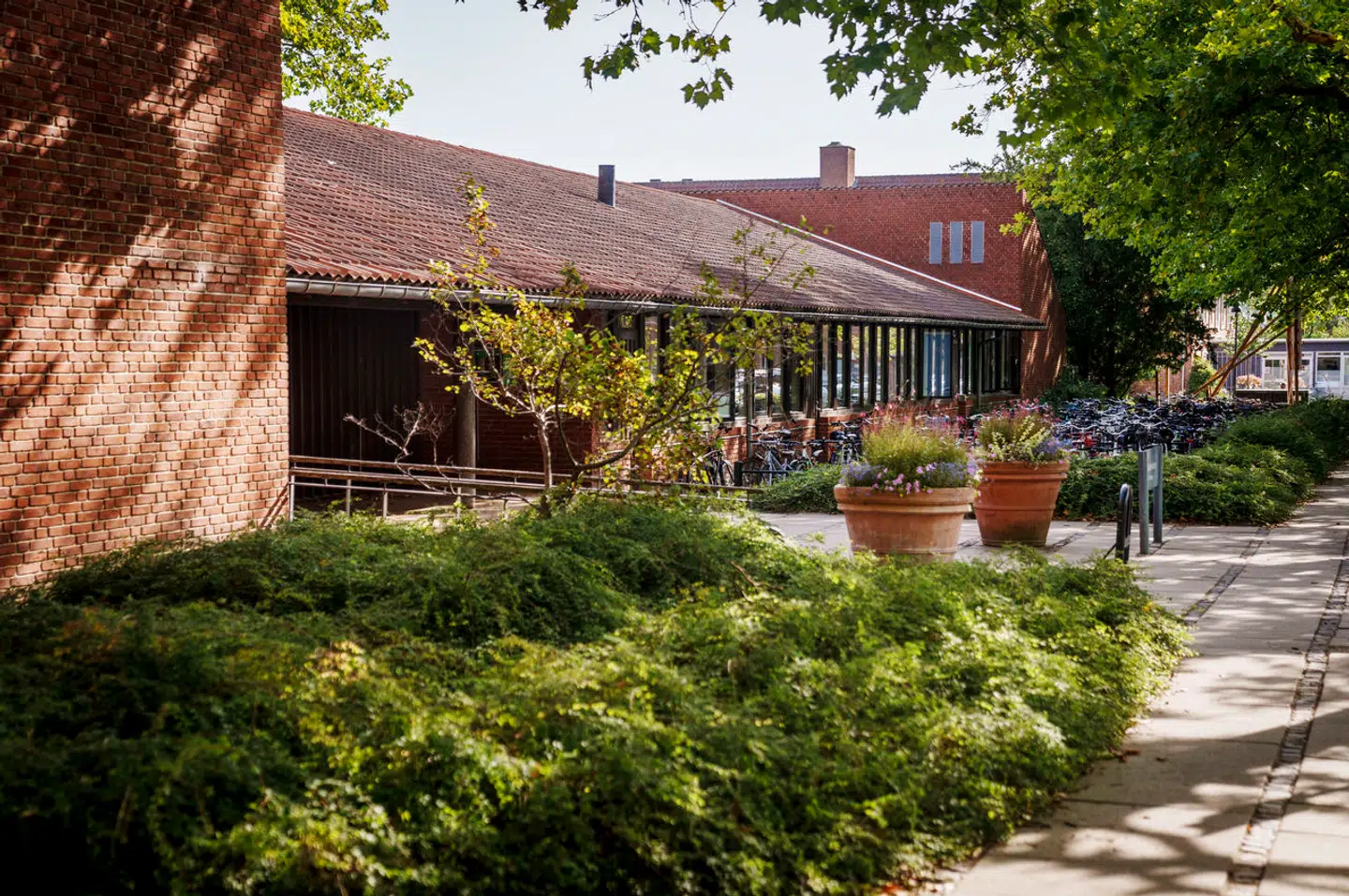 Rudersdal Kommune har modtaget over 50 henvendelser på den hotline, der blev etableret torsdag i sidste uge.