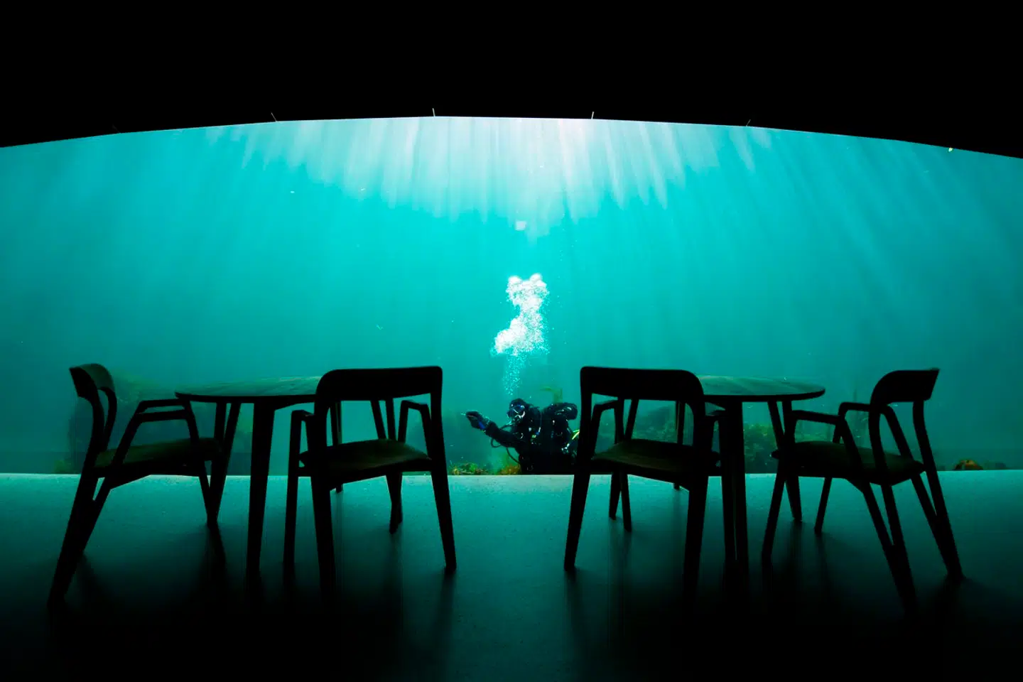 Restaurant Under åbnede i 2019 og vakte hurtigt opsigt med både sin mad og den unikke udsigt. Man indtager nemlig sit måltid fem meter under vandet.