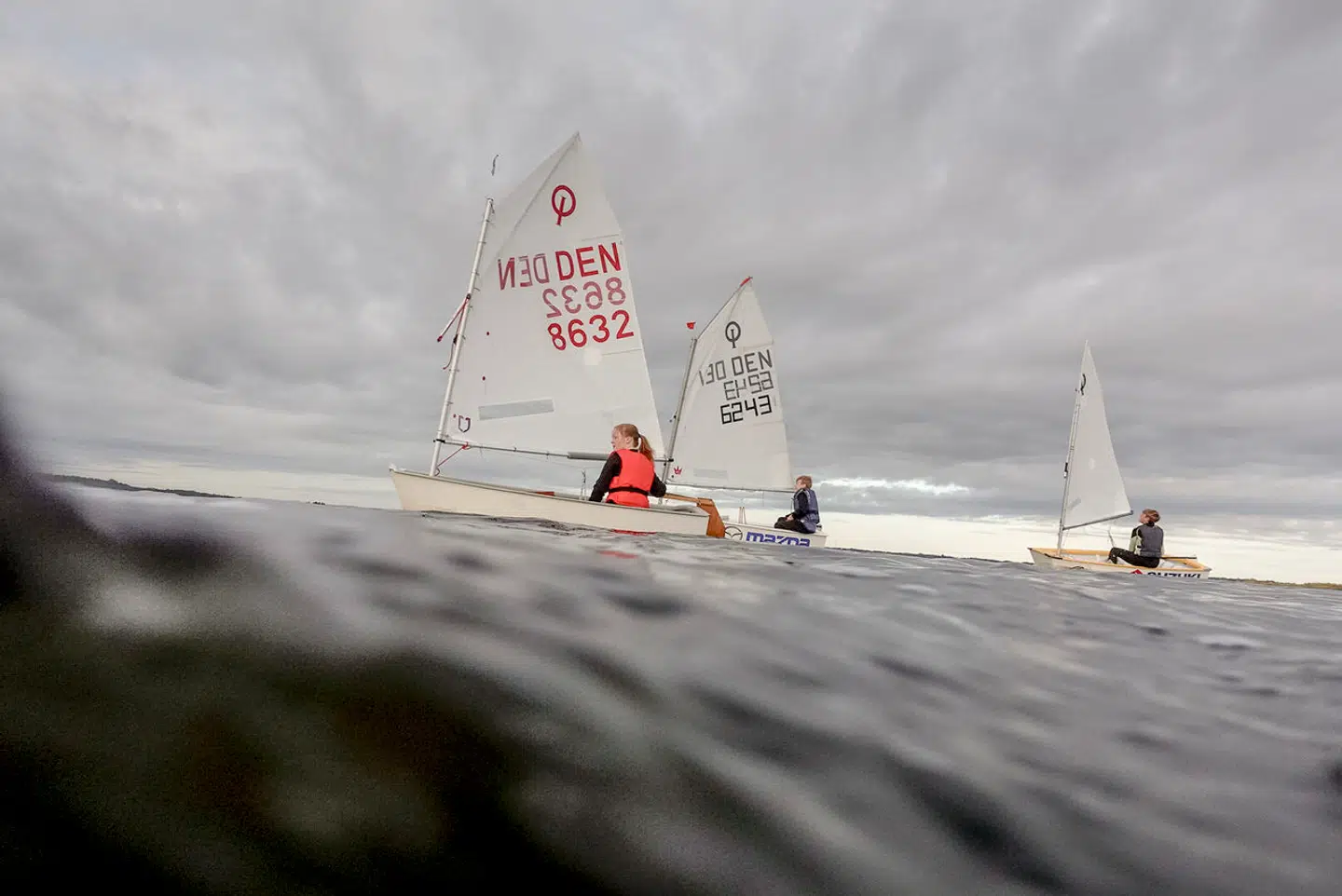 Hjarbæk Fjord er fyldt med alger, der farver vandet brunt og skaber iltsvind. Her ses Malou, Peter og Lasse fra den lokale sejlklub i hver deres optimistjolle.