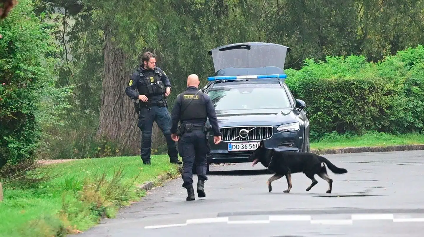 Området er blevet undersøgt med hjælp fra politihunde.