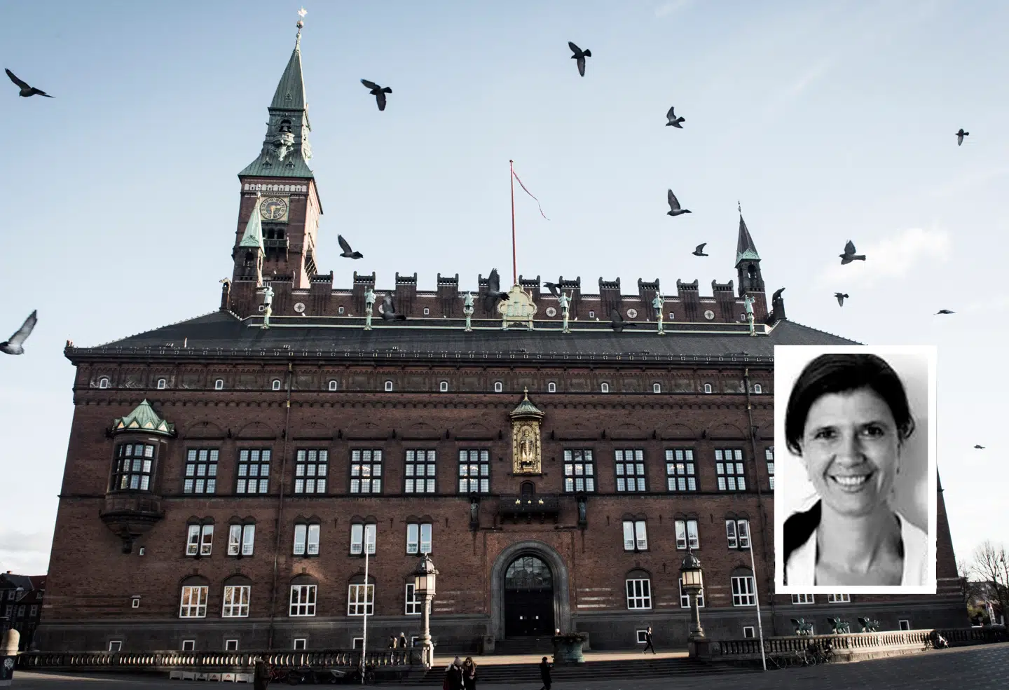 Malene Møller Ruszkai har en central rolle i sagen om Anders Valentiner-Branth og firmaet Nielsen Nørager, som blev hyret for 14,8 millioner kroner på tre år. Malene Møller Ruszkai ses nederst i højre hjørne.