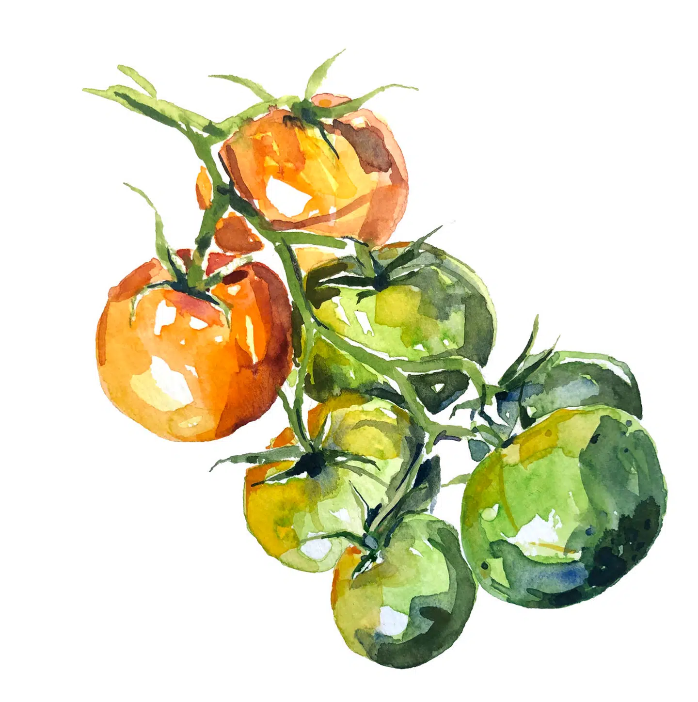 Illustration: Peter Wandel