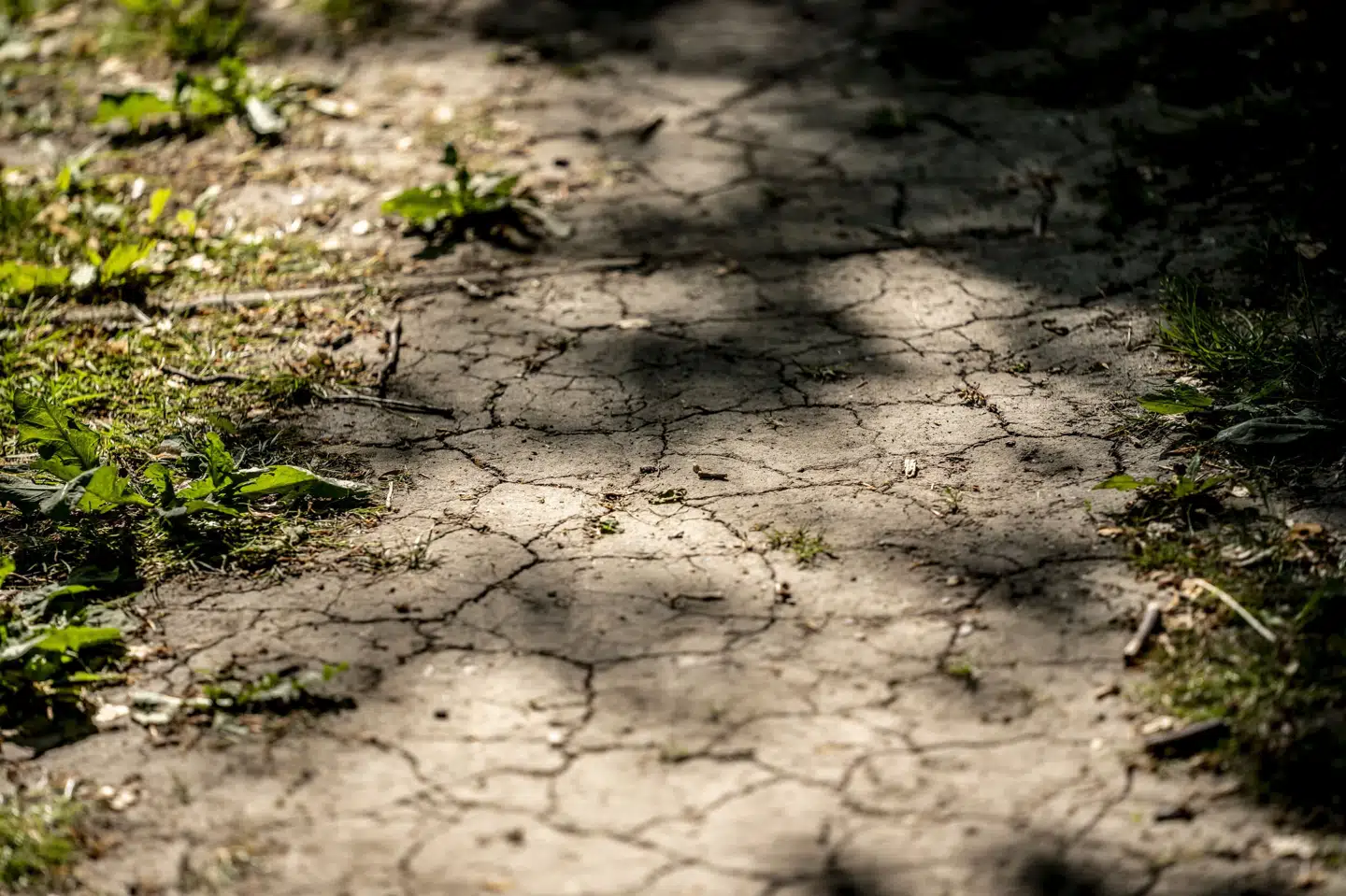2023 kan blive det varmeste år nogensinde ifølge professor. (Arkivfoto).
