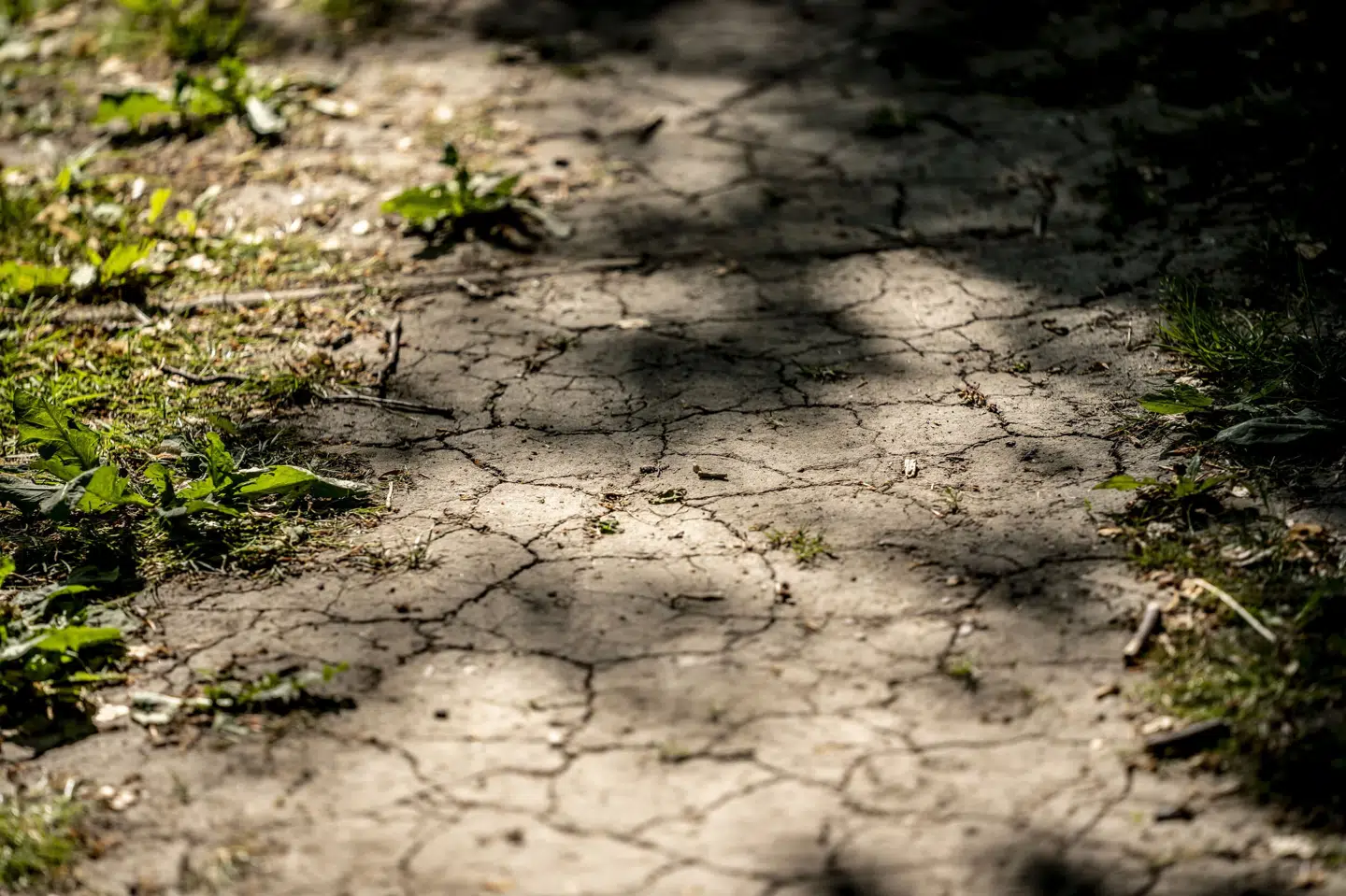2023 kan blive det varmeste år nogensinde ifølge professor. (Arkivfoto).