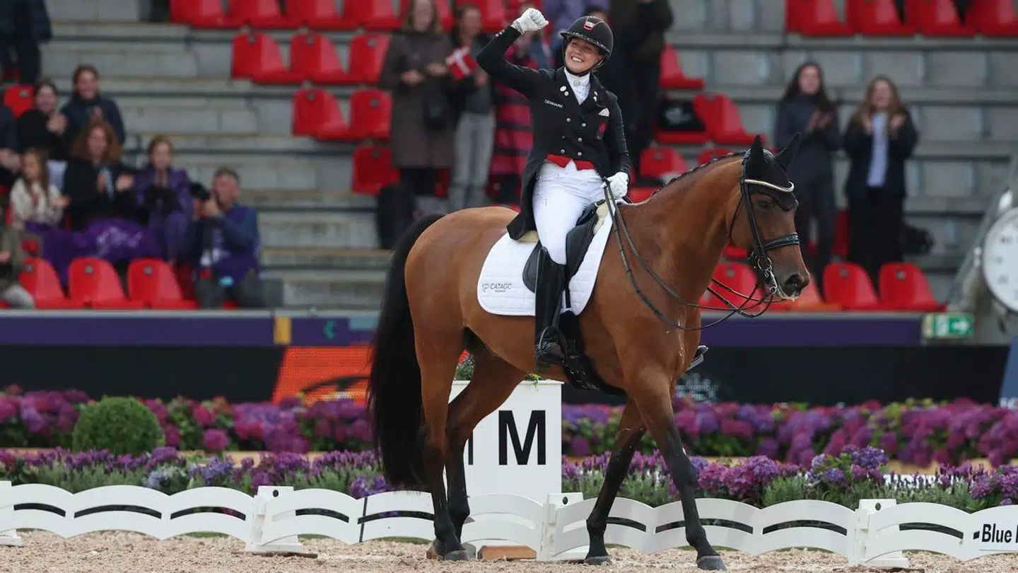 Cathrine Laudrup-Dufour var med til at vinde VM-guld i holdkonkurrencen på Vamos Amigos sidste år. Efter mesterskabet skulle hesten tilbage til sine britiske ejere.