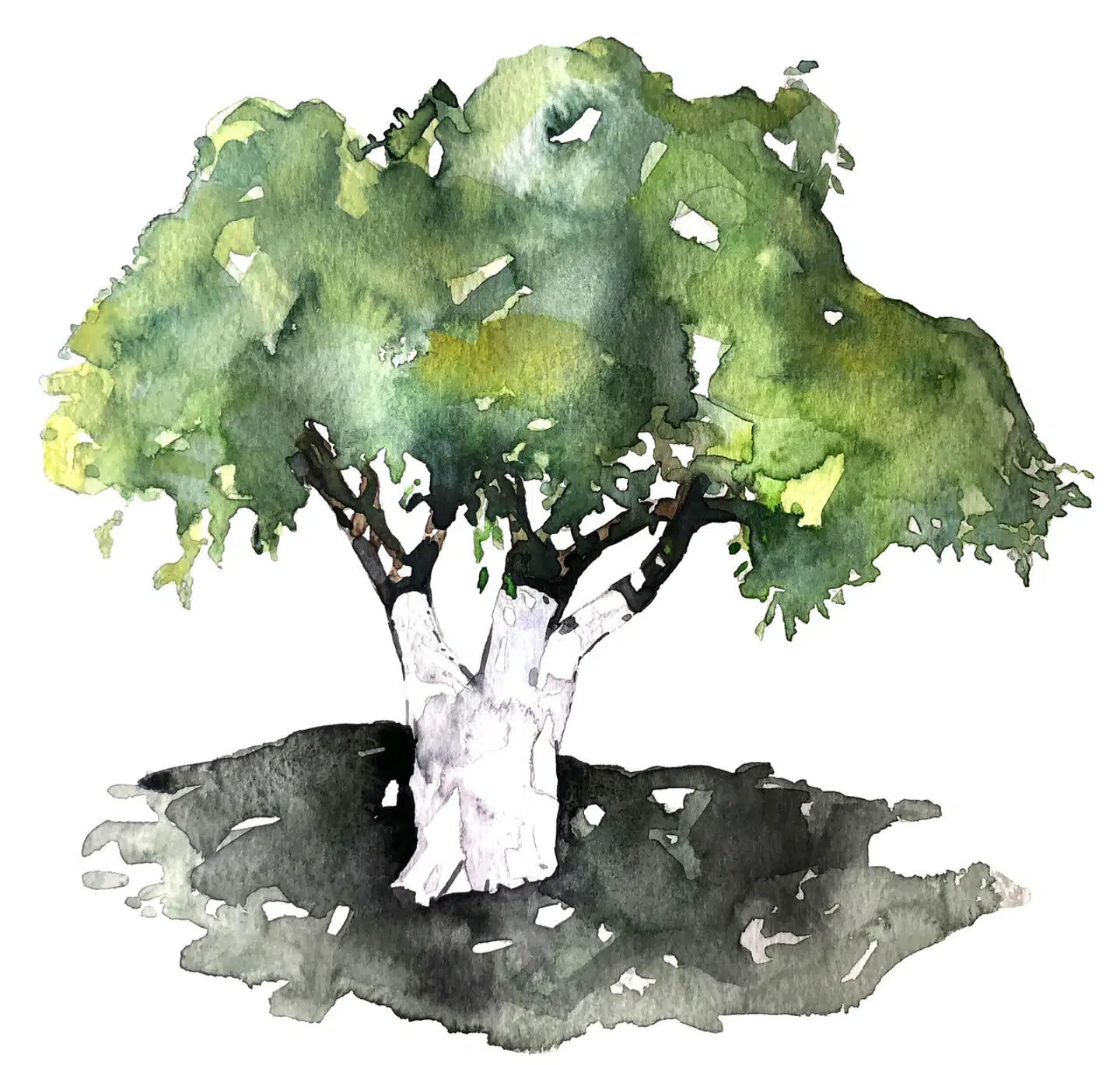 Illustration: Peter Wandel