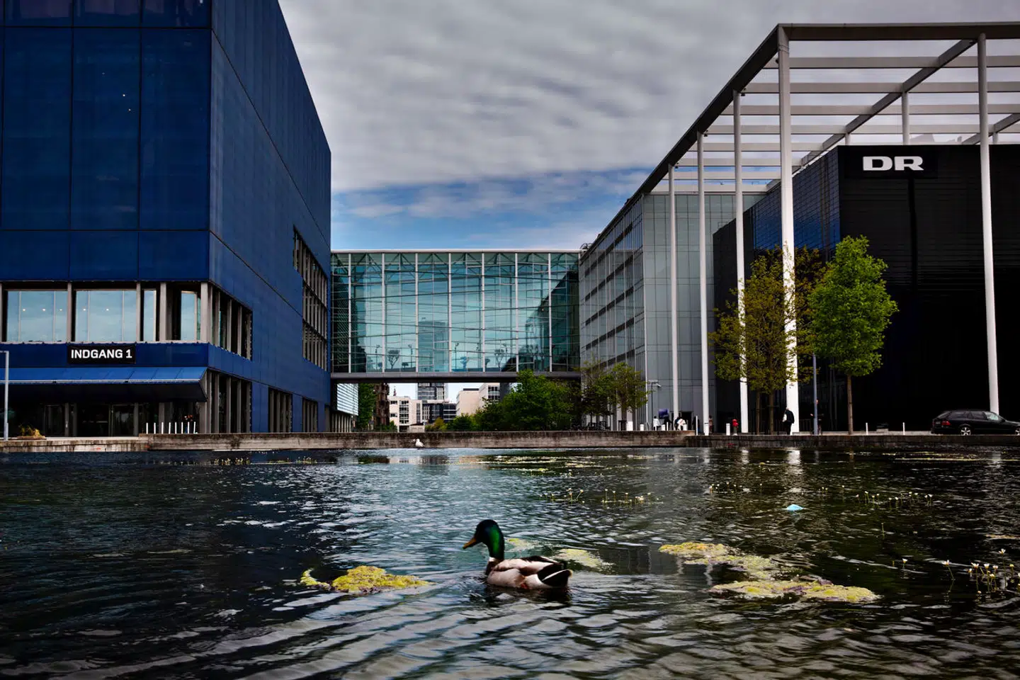DR Byen er kernen i en spektakulær milliardstrid mellem DR og Københavns Kommune.