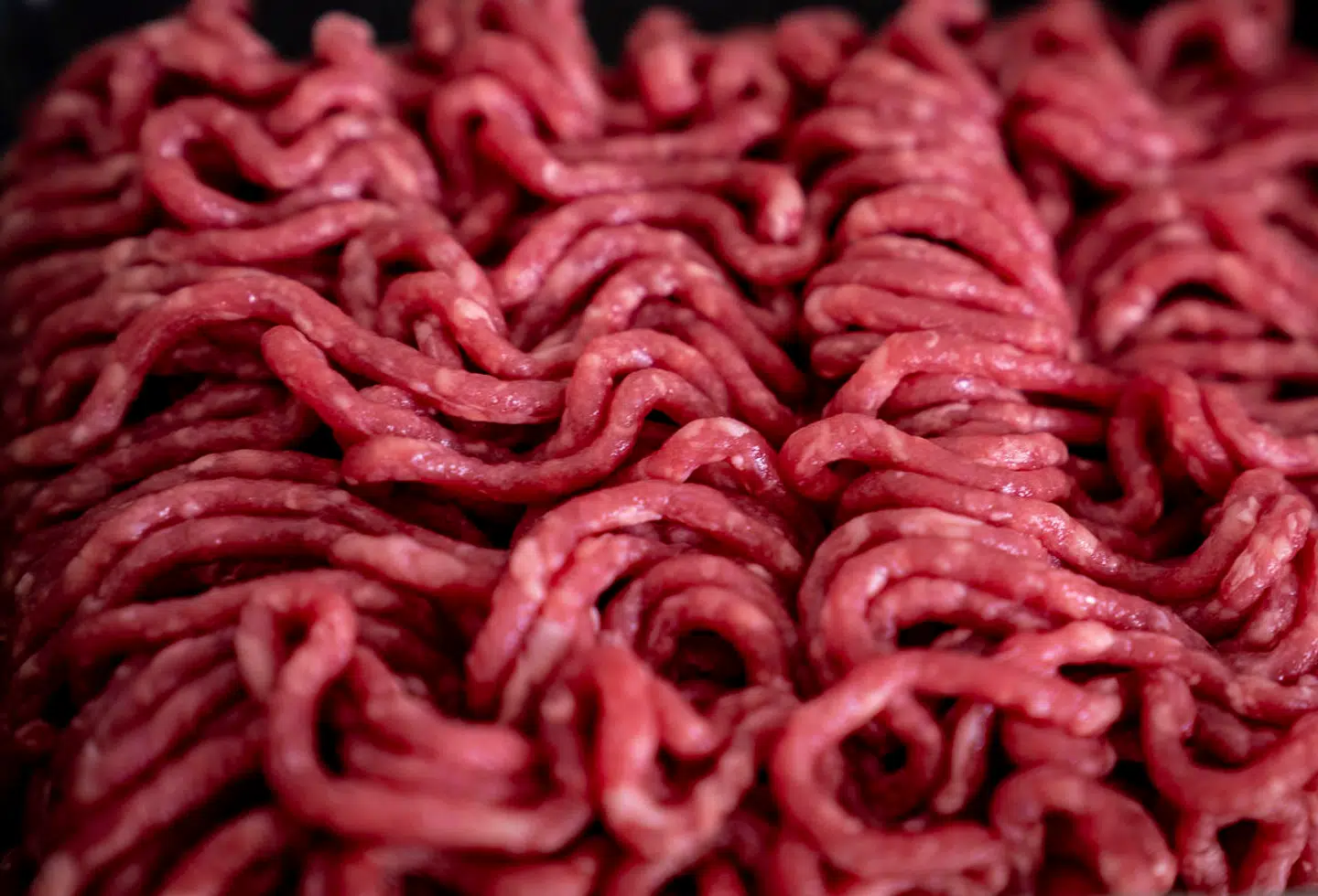 »Desværre bliver argumenter om at nedbringe Co₂-udledninger ofte brugt til at vedtage det ene forbud efter det andet. Det er en glidebane, som vi ikke skal acceptere. Vi kan ikke forbyde os ud af klimakrisen,« skriver Louise Theilade Thomsen.