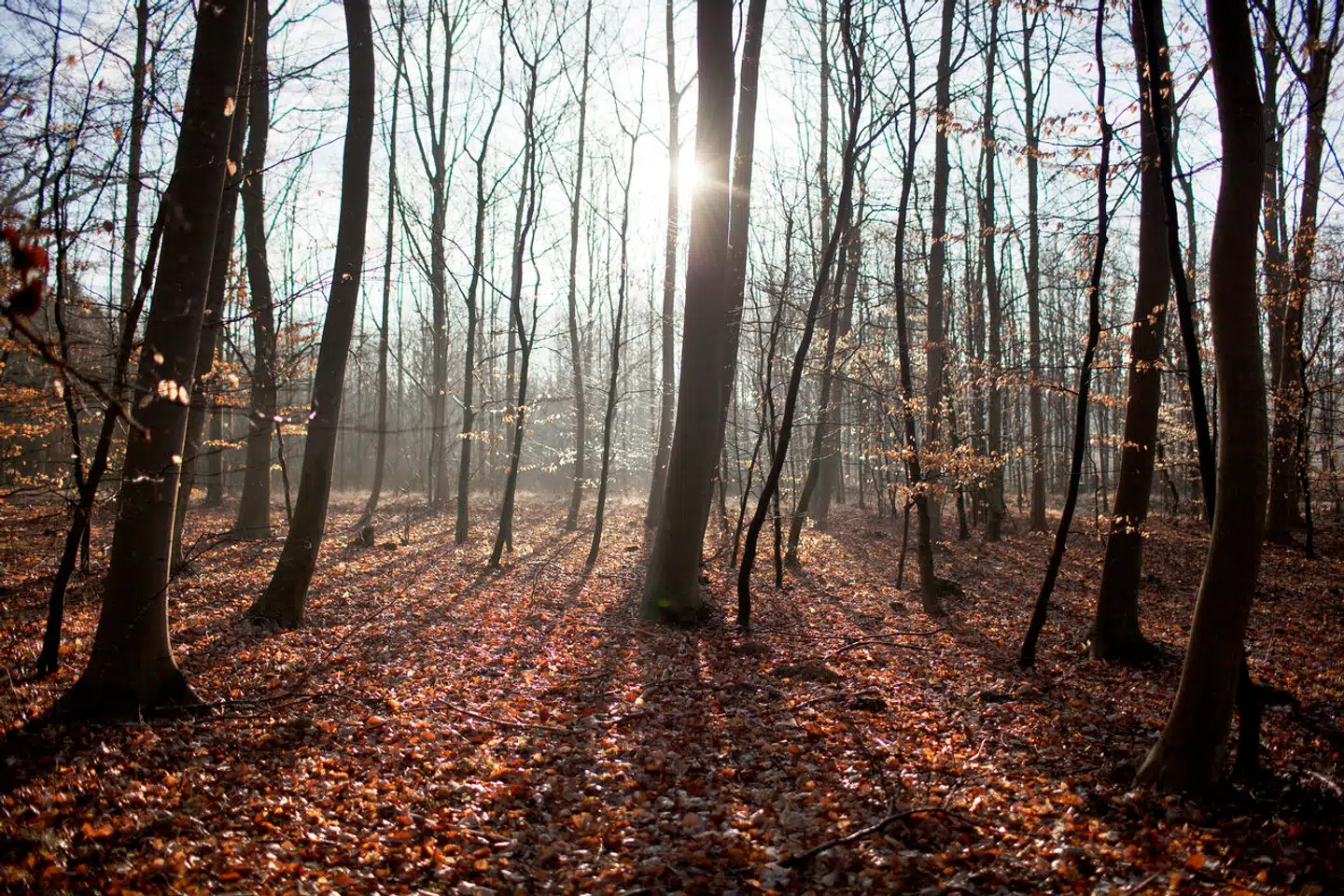 Årstiderne kan måske have betydning for vores spisevaner, lyder det fra en af forskerne i studiet.
