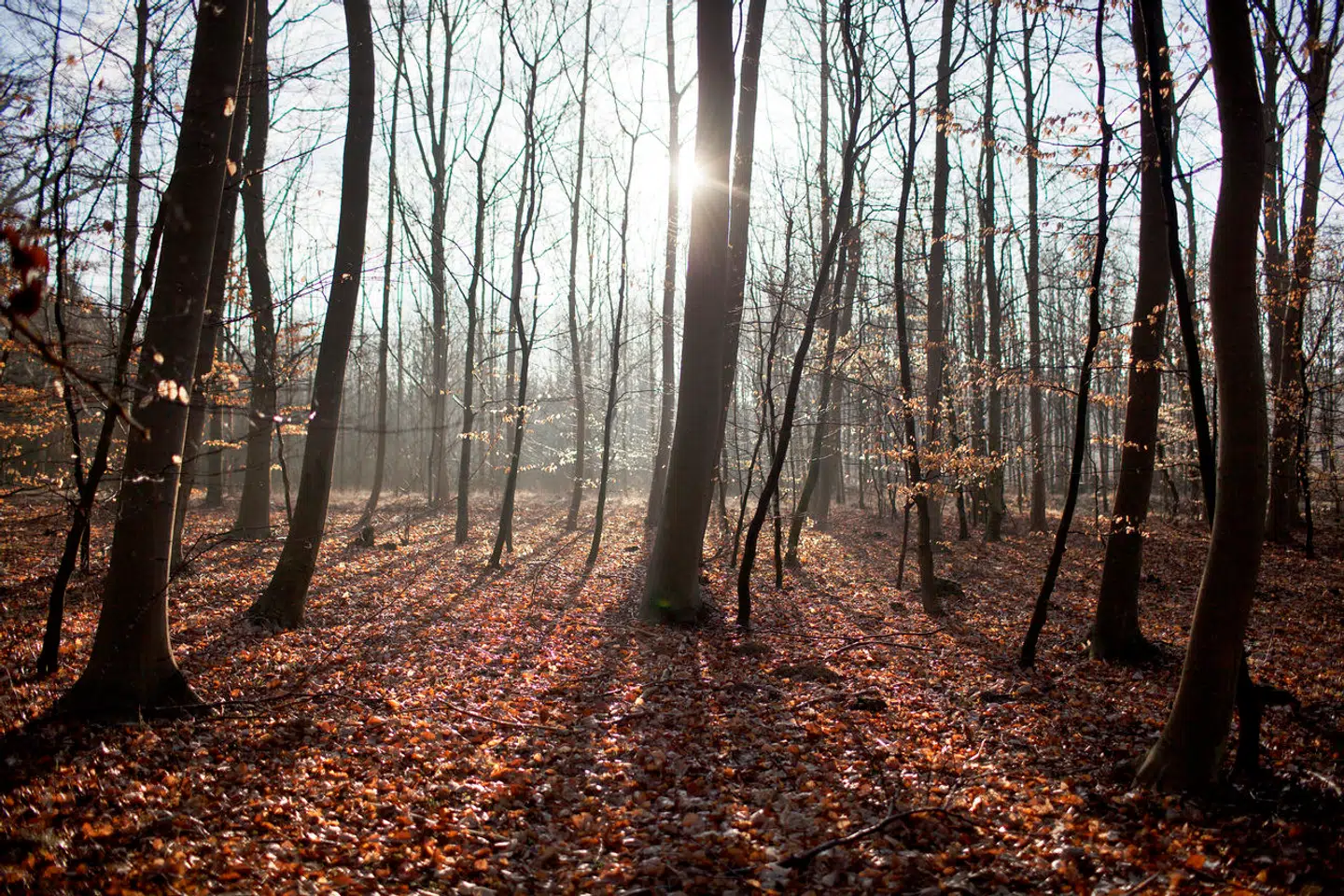 Årstiderne kan måske have betydning for vores spisevaner, lyder det fra en af forskerne i studiet.