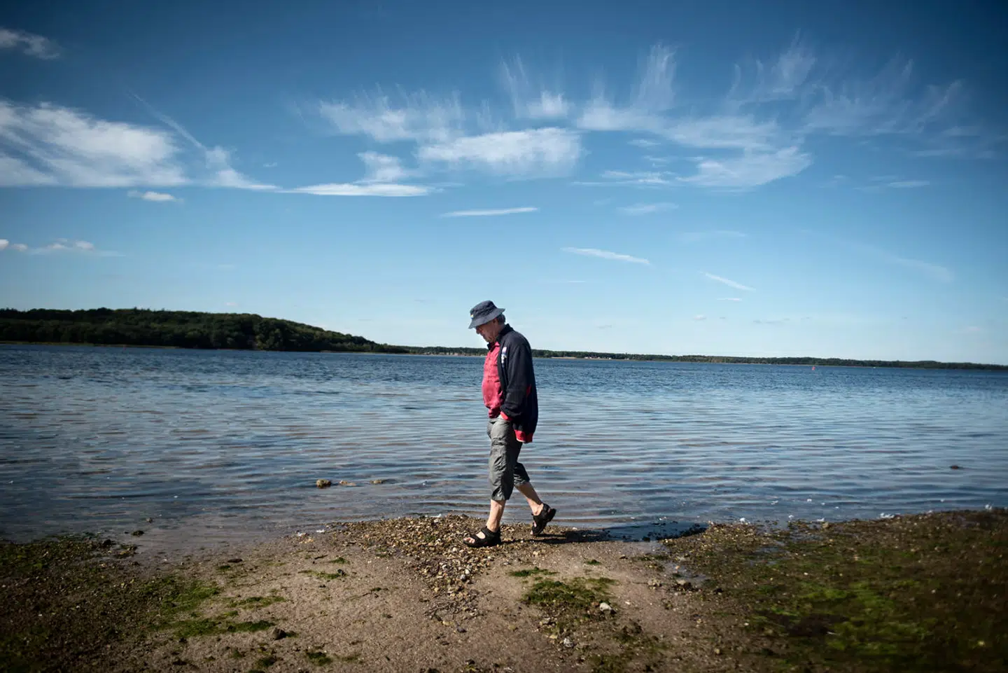 Roskilde Fjord vil nogle steder være helt blottet for vand.