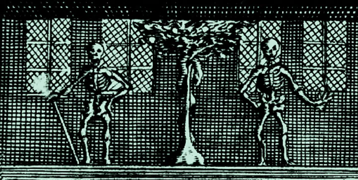»På Københavns Universitet er kundskabens træ i færd med at rådne oppefra,« skriver Anne Sophia Hermansen i denne kommentar. Illustration: Fra Thomas Bartholin's 'Cista Medica'.