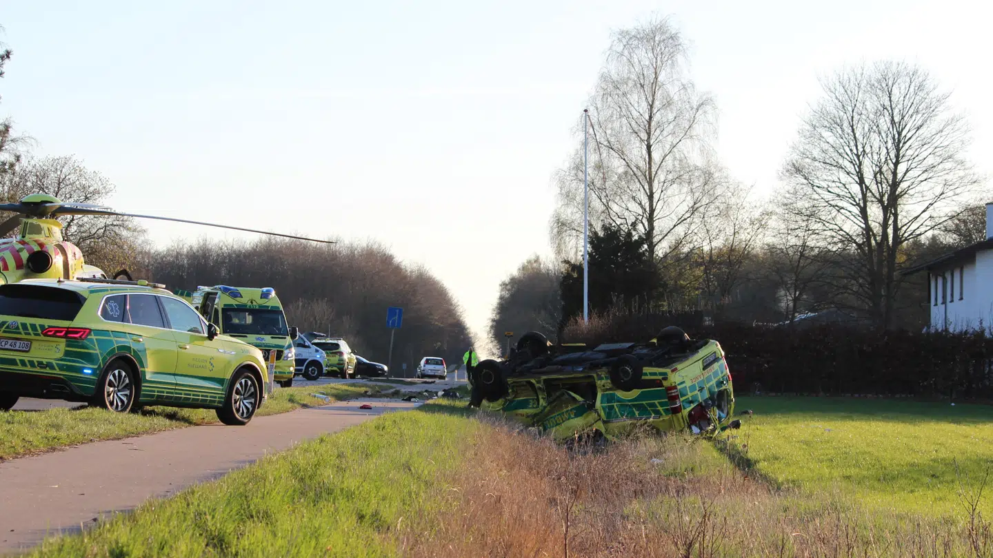 Foto: Byrd / Casper Elkjær Hansen.