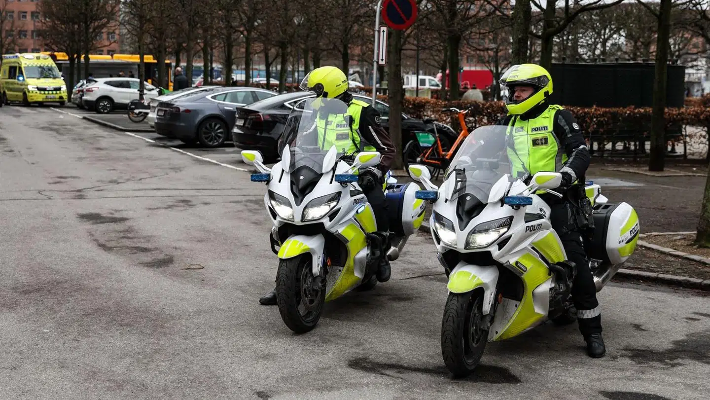 Foto. Steven Knap / Byrd.