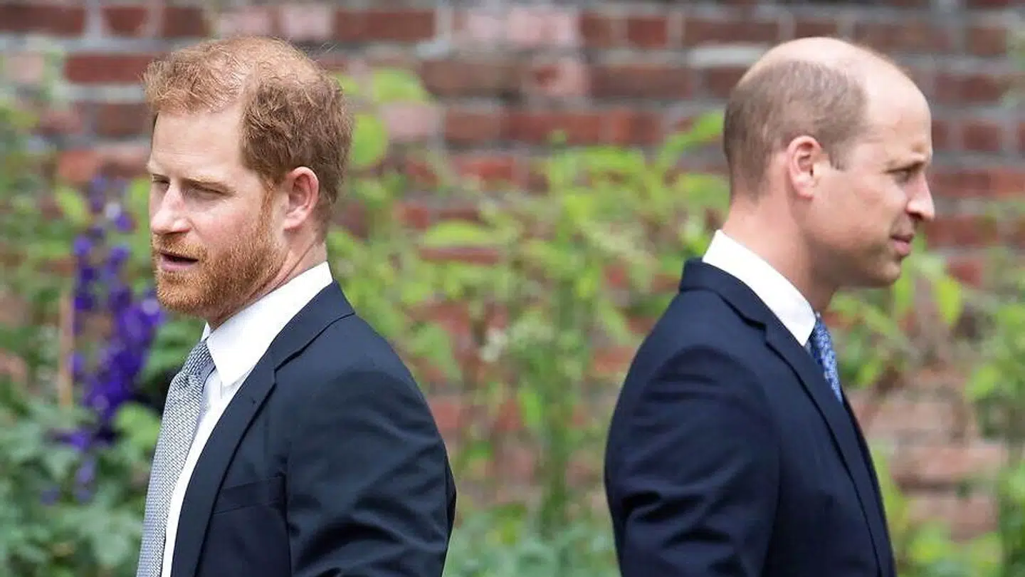 Der har igennem flere år været en anstrengt stemning mellem prins Harry og prins William.