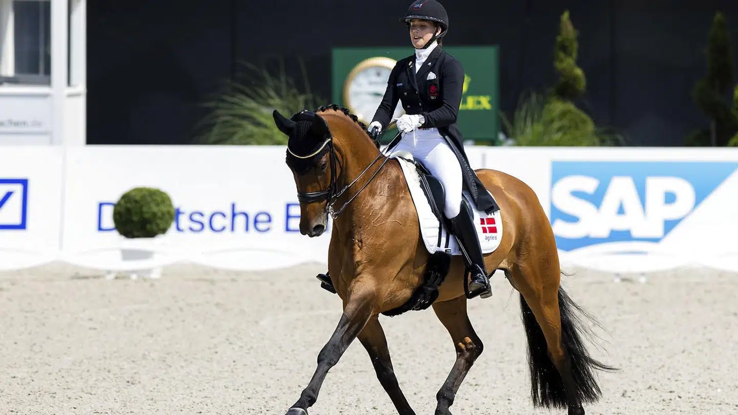 Cathrine Laudrup-Dufour på hesten Vamos Amigos, som hun har med til VM.