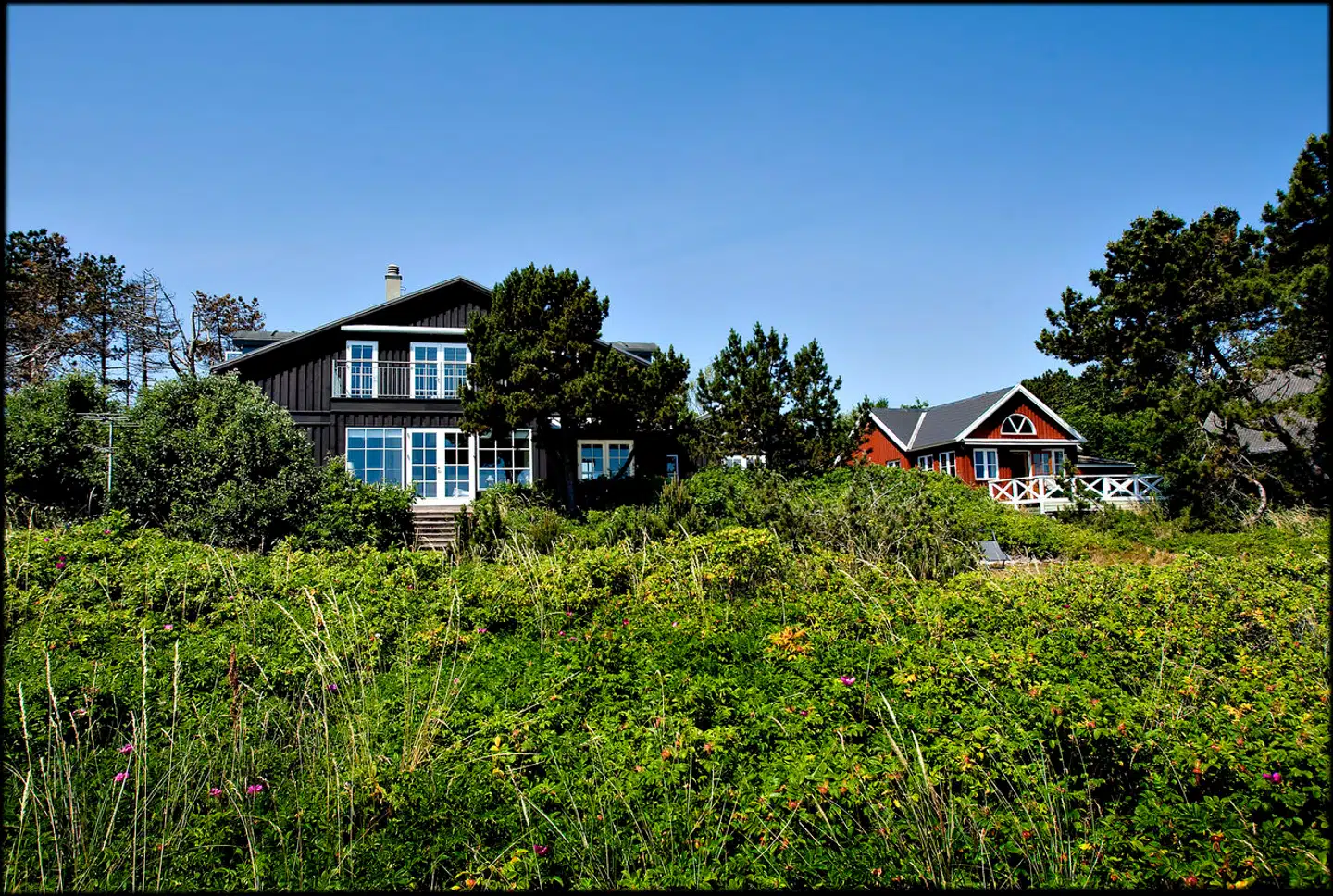 Udlændinge skal som udgangspunkt have en særlig tilladelse for at få lov til at købe sommerhus i Danmark. Arkivfoto: Bax Lindhardt/Ritzau Scanpix