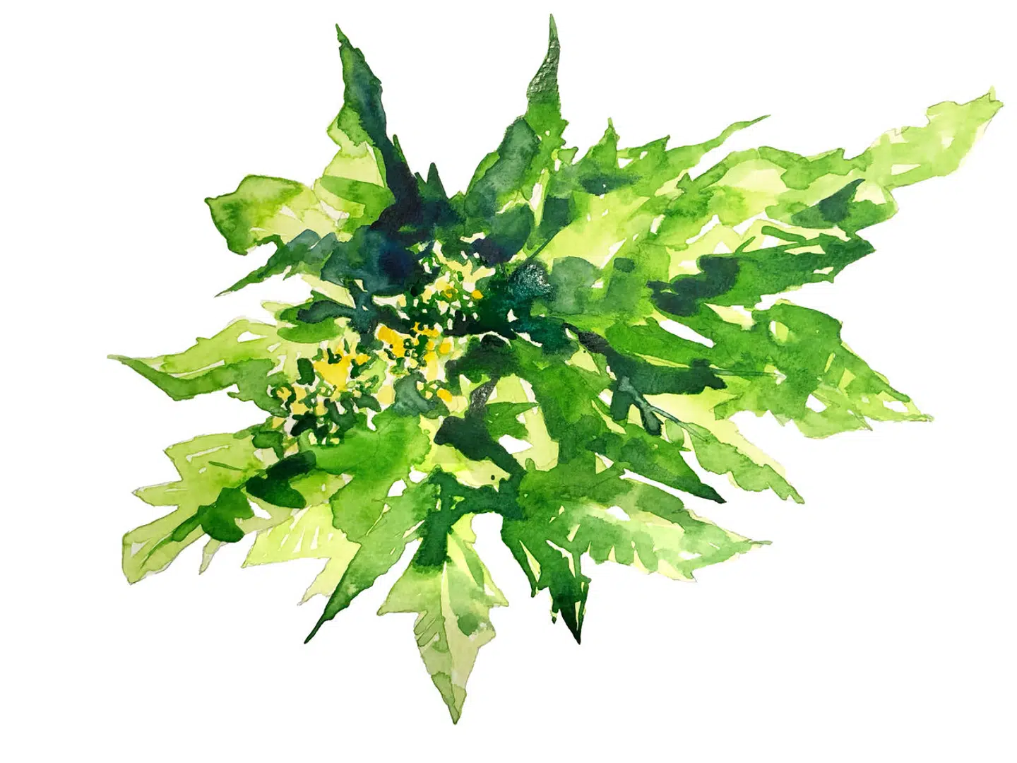 Illustration: Peter Wandel