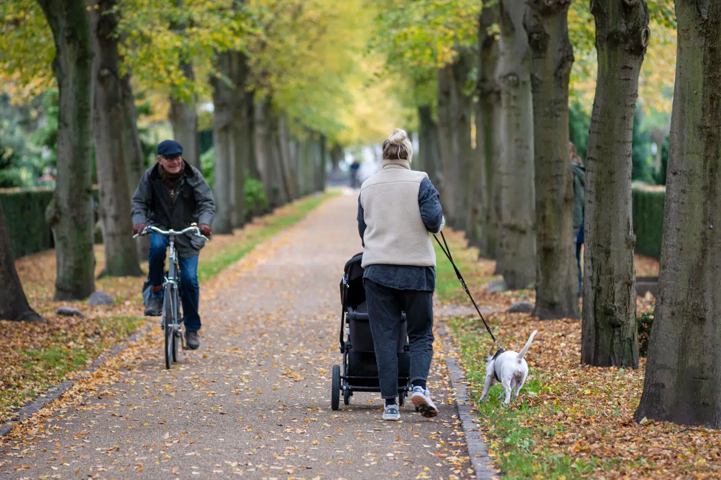 Arkivfoto: Christian Lindgren, Scanpix.