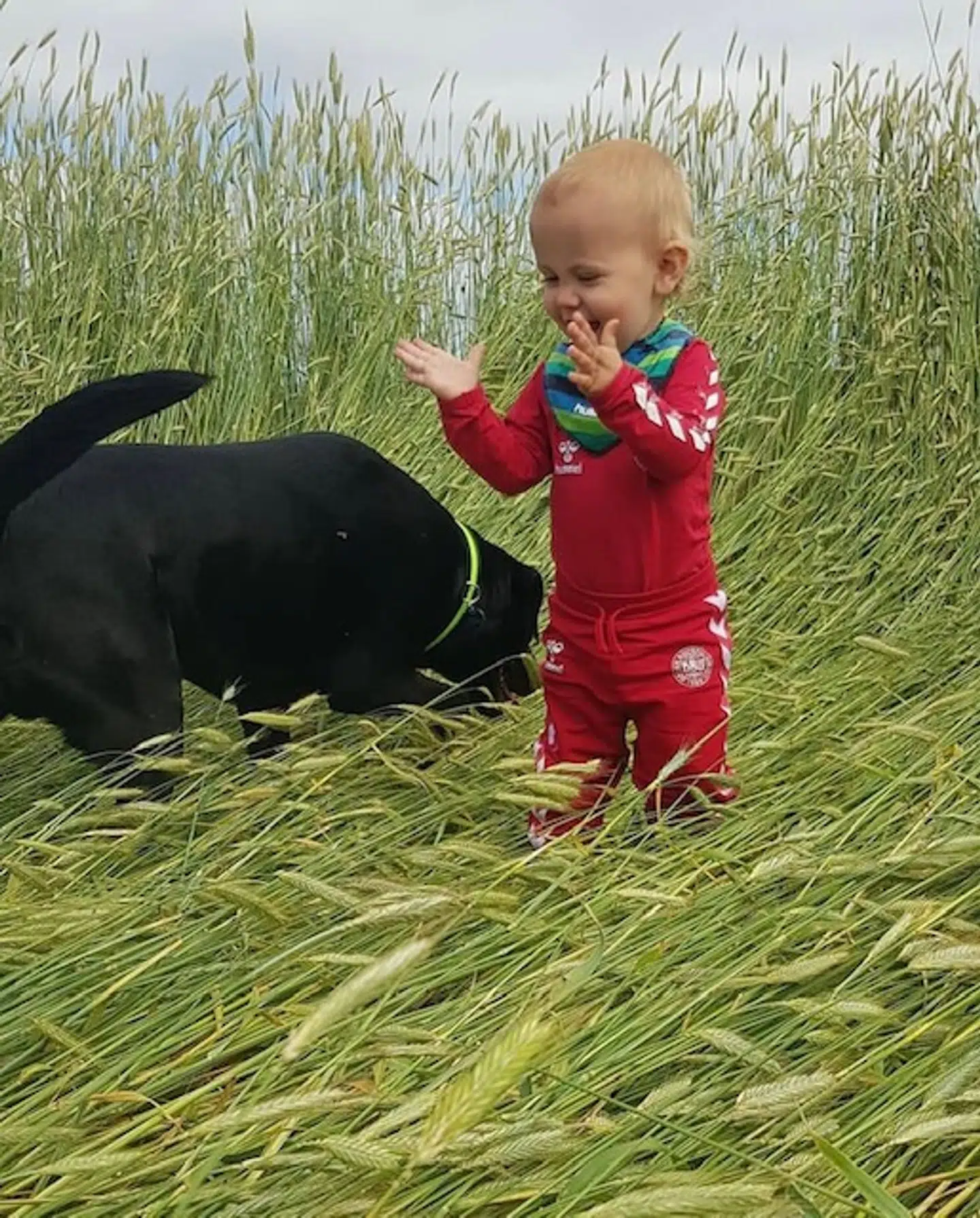 Villads og Balou