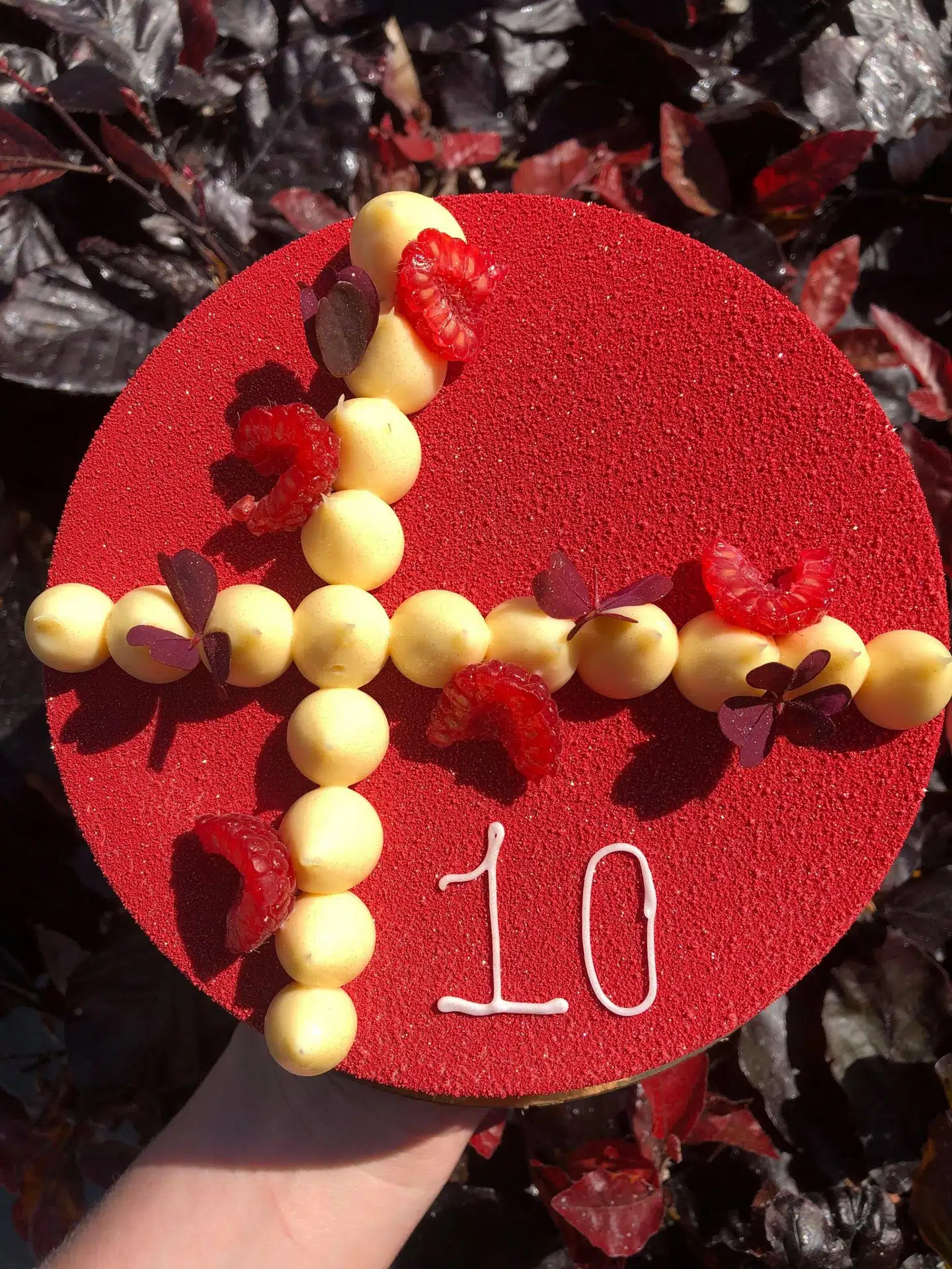 Katrine Bergmansens flotte kage.