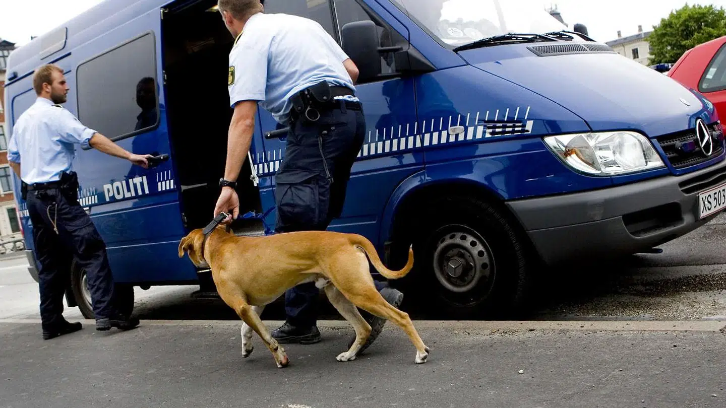Hvis politiets hunde kommer frem under det kommende EM i København, så skyldes det formentlig ikke corona, da forsamlingsforbudet ophæves udendørs fredag 11. juni.