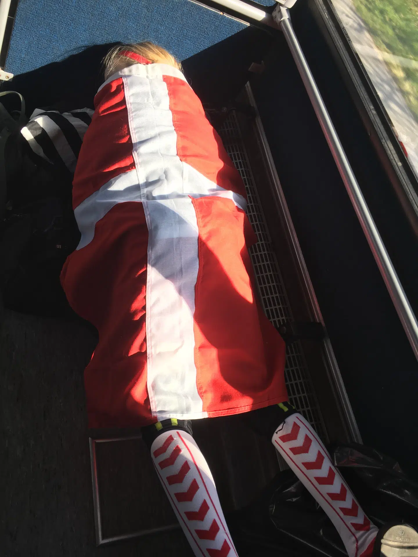 Linea fik sig en lur under Dannebrog.