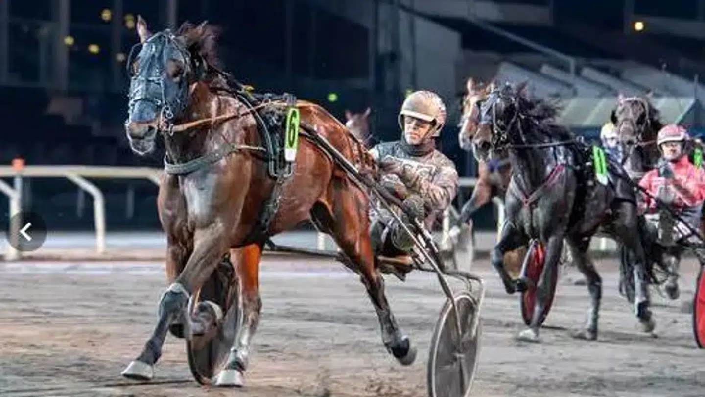 Farlander Am vinder et væddeløb i Sverige.