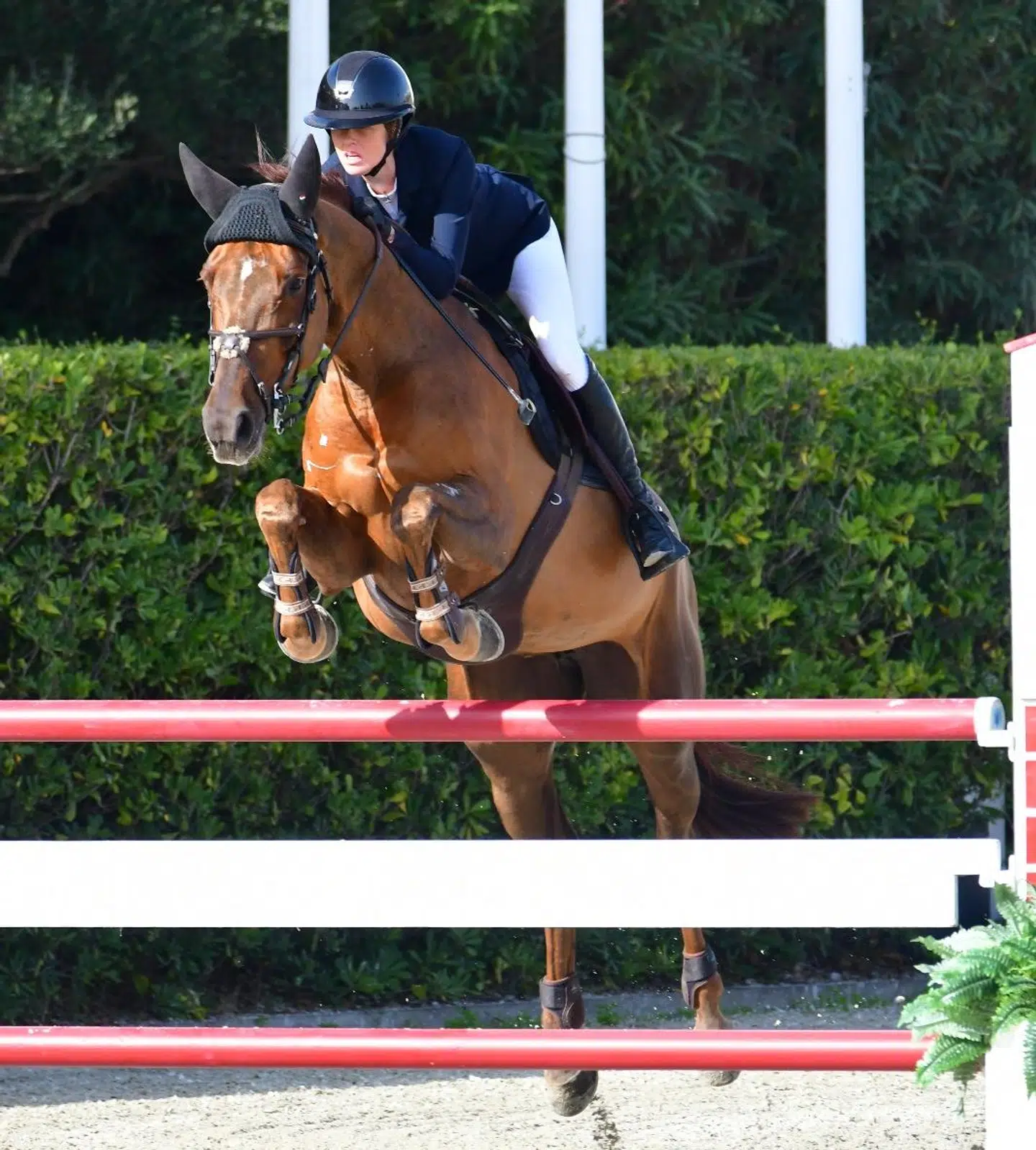 Sophie Asmussen da hun red konkurrence på Iris van her Fries Hofke. (privatfoto)