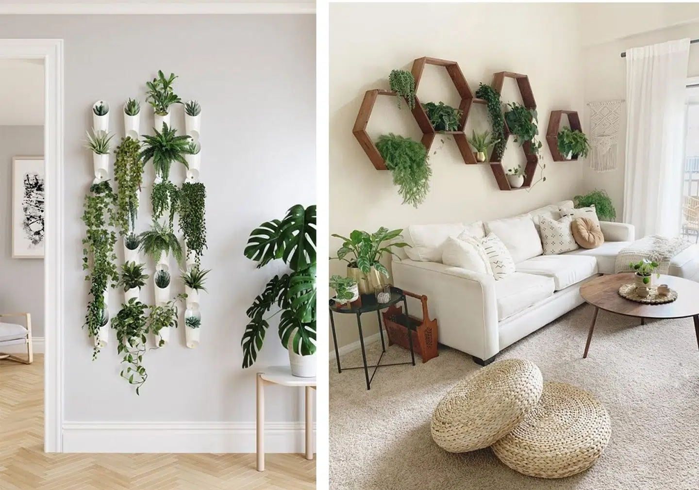 Brug planterne kreativt i dit hjem. Lav f.eks. en kollage med dem på din væg og brug dem i stedet for en plakat i din indretning.1) Skab boheme stil med planter2) Brug dine planter som plakat