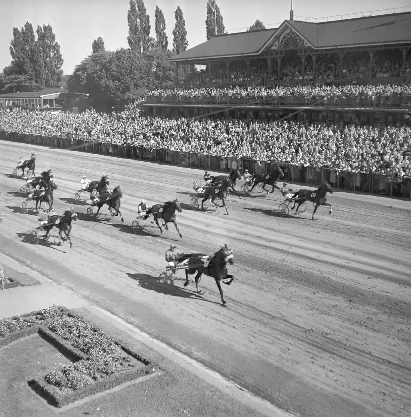Dansk Trav Derby 1952 på Charlottenlund Travbane.