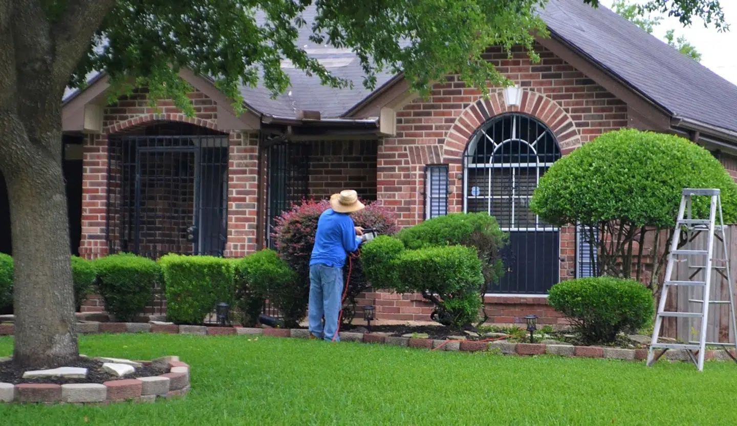 Trimning i haven: Sådan klipper du bedst din hæk