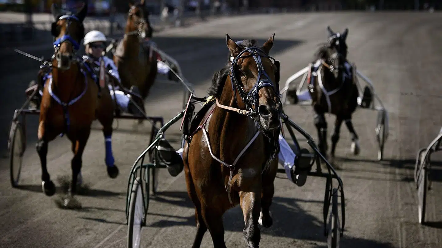 Charlottenlund Travbane.