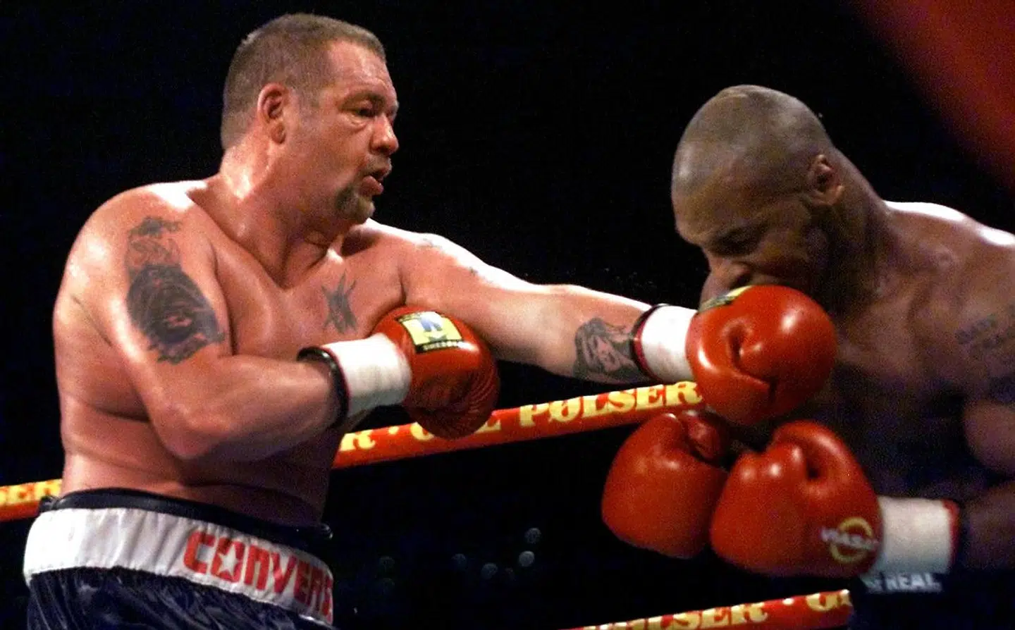 Braget i Parken mellem Brian Nielsen og Mike Tyson.