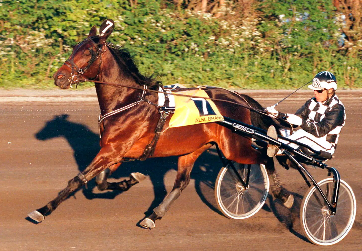 Booster Follo med Axel Jacobsen i sulkyen. Foto fra 1999.